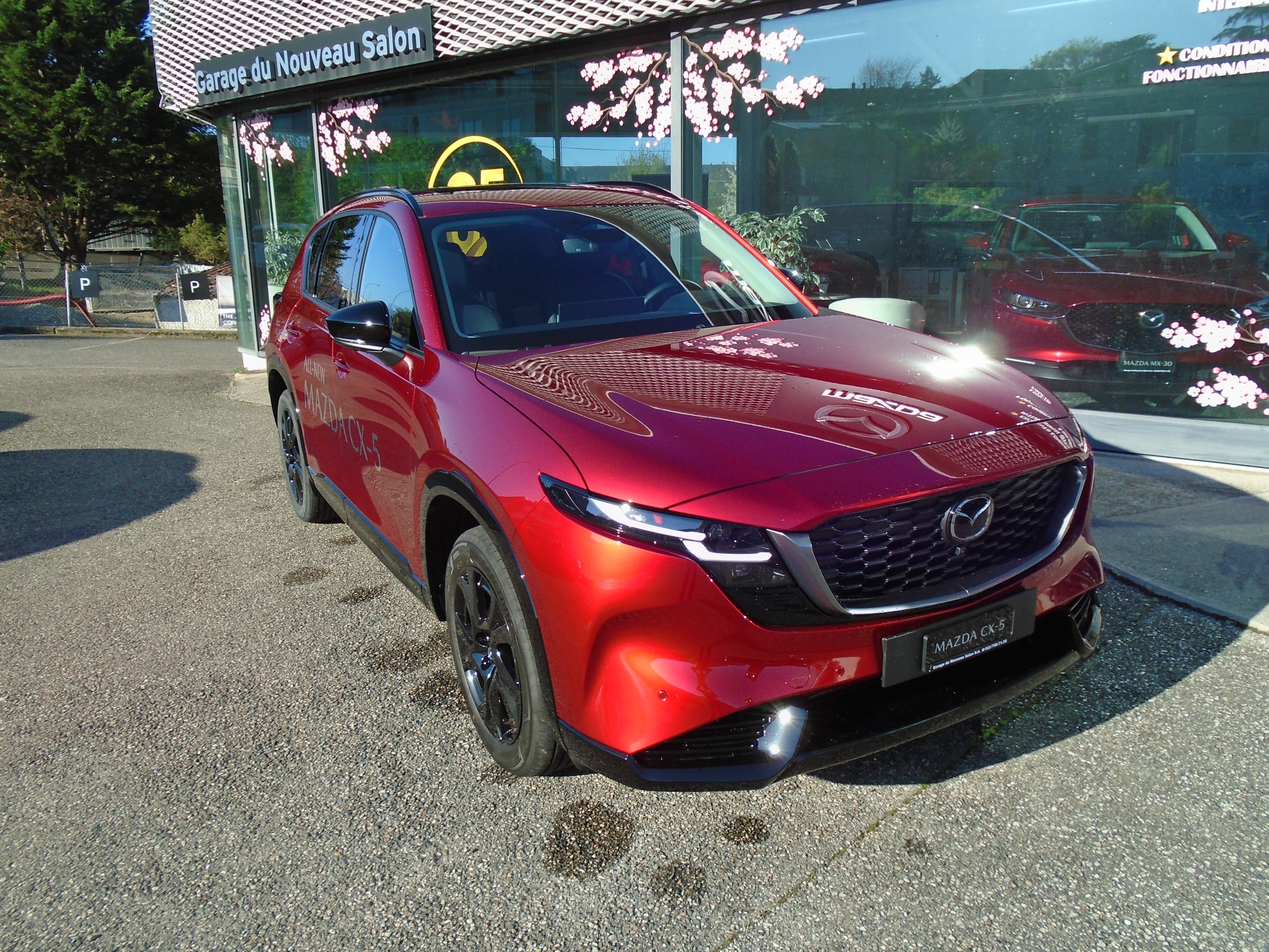 Car photo