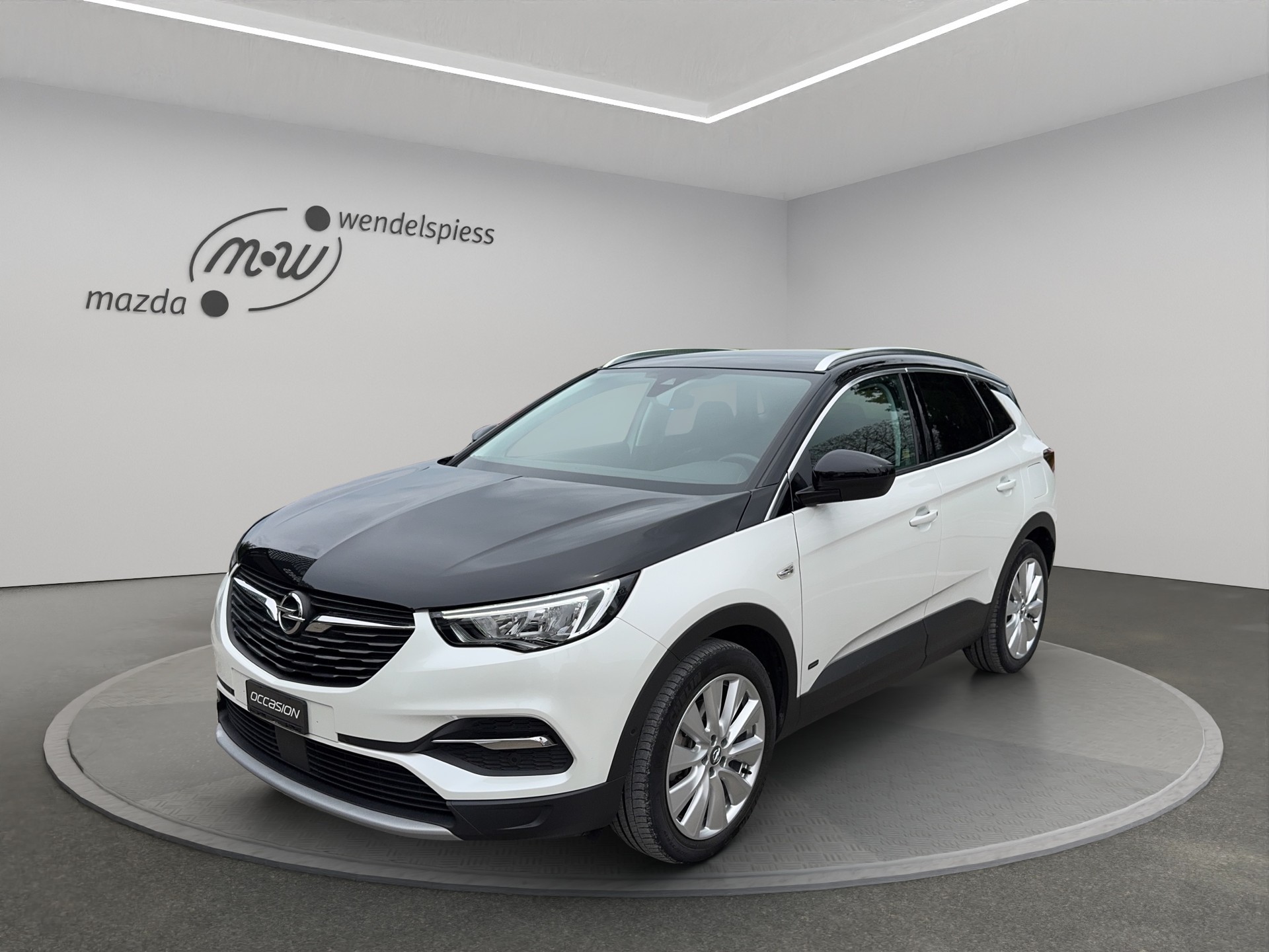 OPEL Grandland X 1.6 Hybrid4 Excellence Automatik-image-6