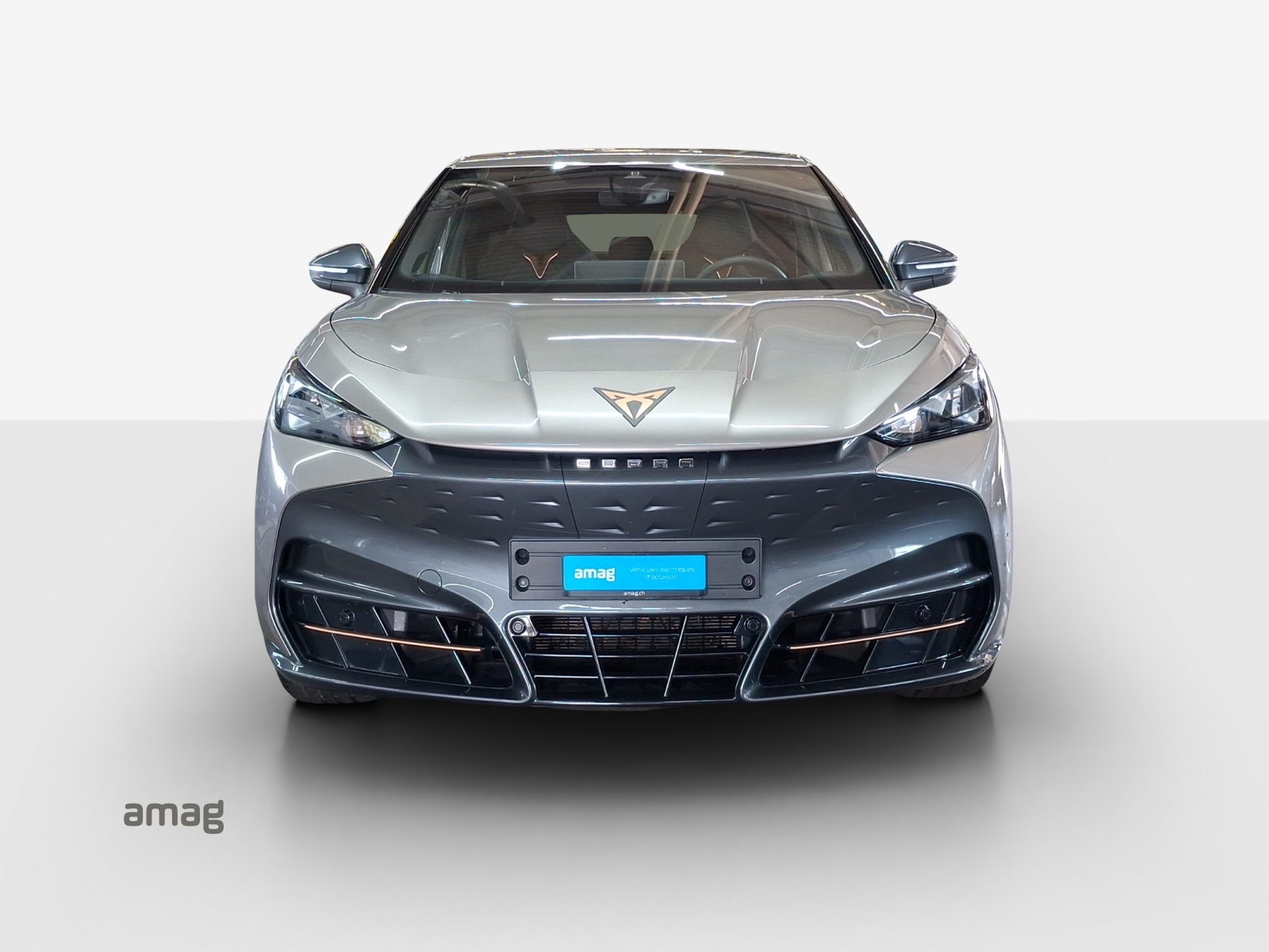 CUPRA Tavascan Type 8 77 kWh VZ-image-6