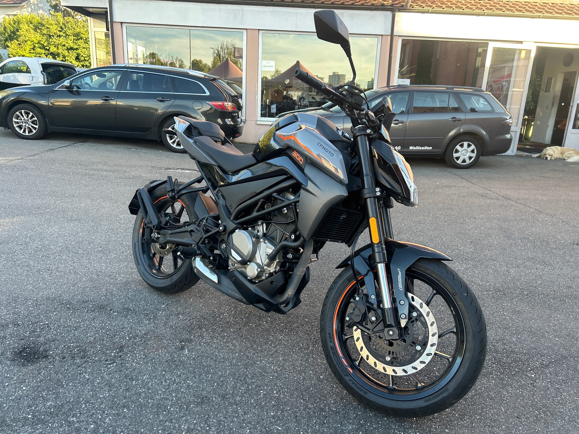 CF MOTO 300NK