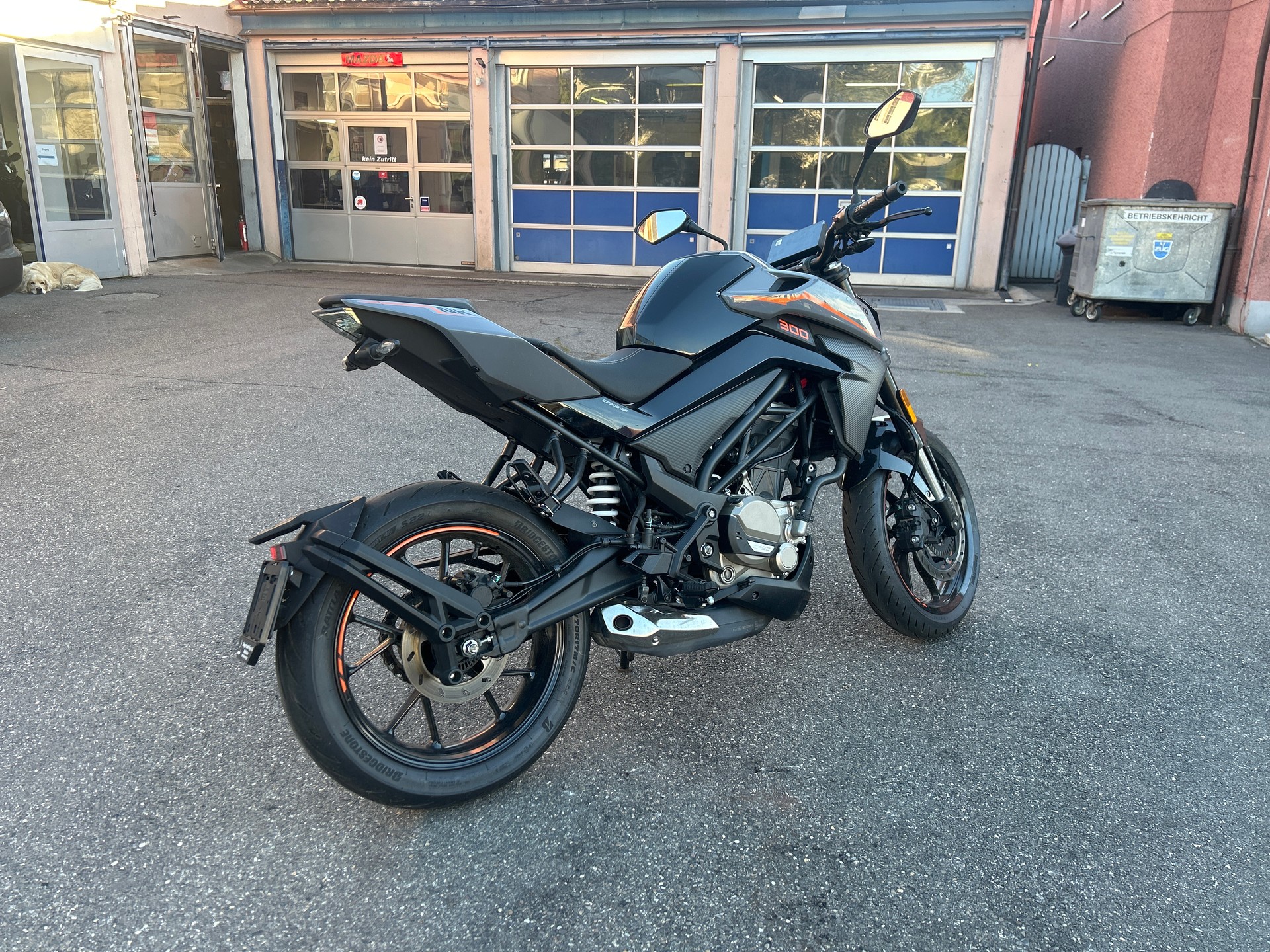 CF MOTO 300NK-showroom-element-1