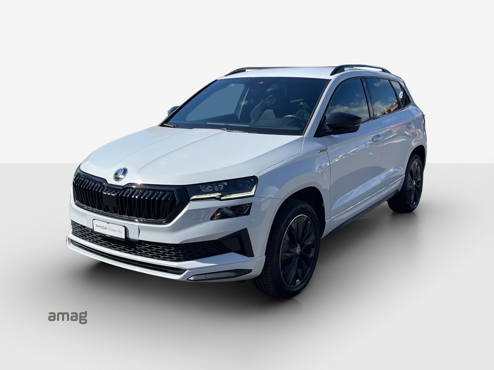 SKODA Karoq 2.0 TDI CR Sport Line 4x4 DSG-image-0