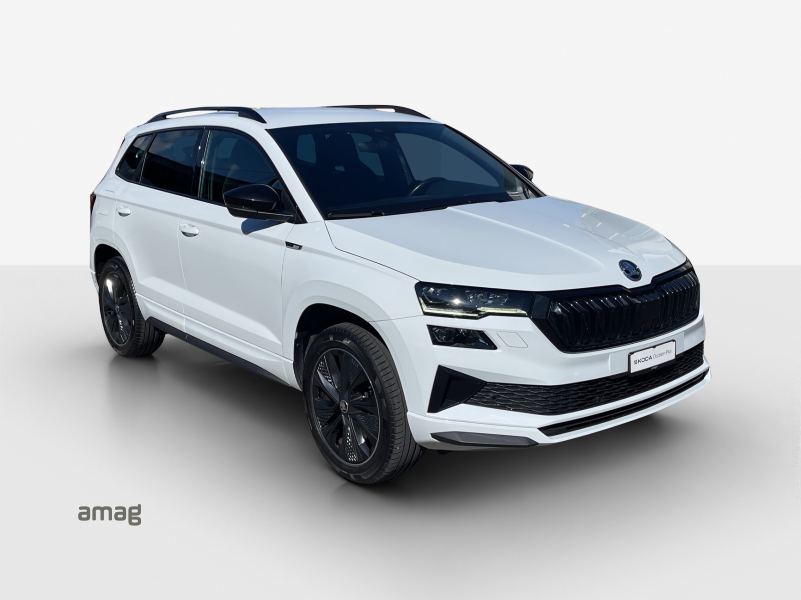 SKODA Karoq 2.0 TDI CR Sport Line 4x4 DSG-image-5
