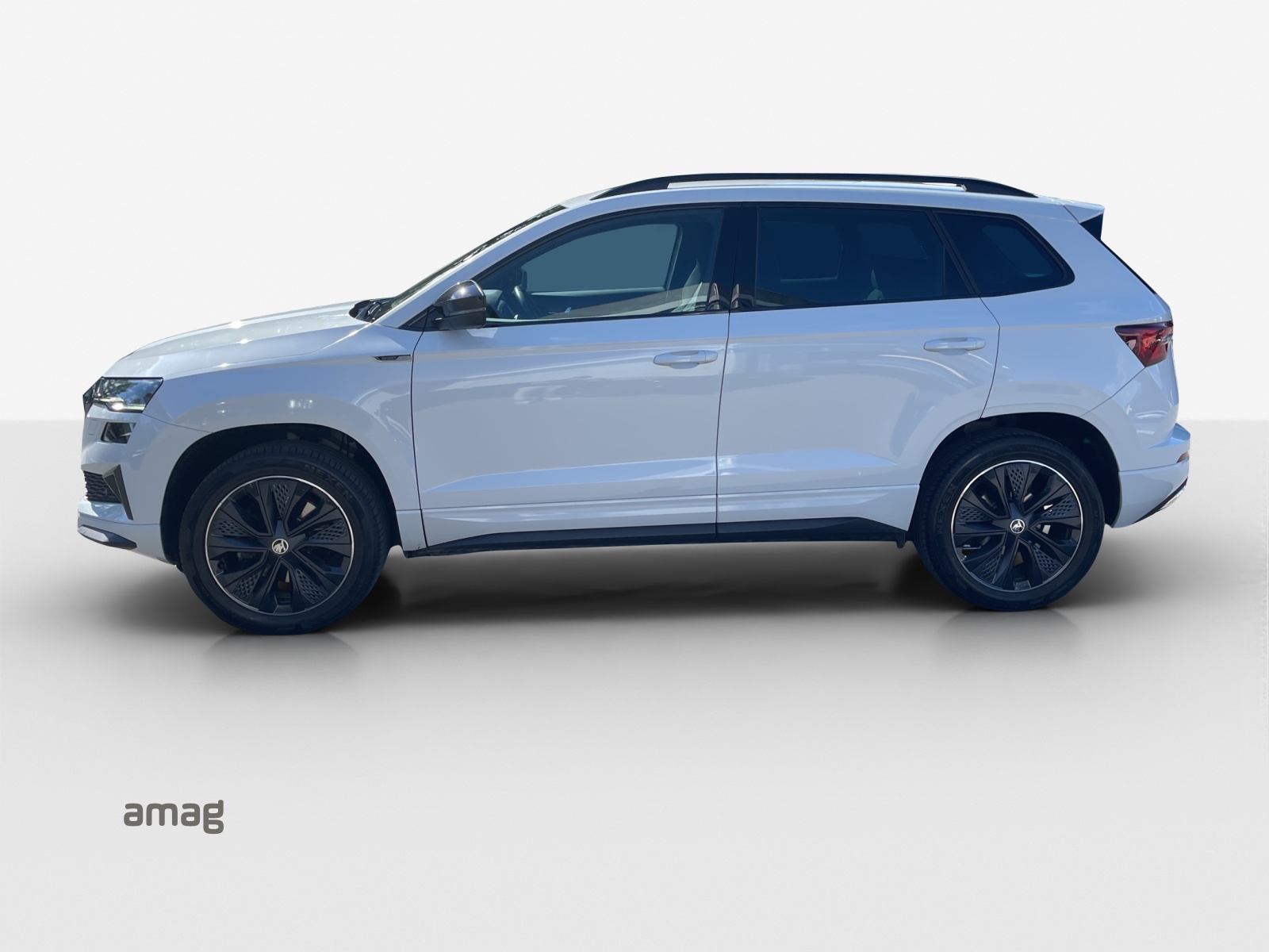 SKODA Karoq 2.0 TDI CR Sport Line 4x4 DSG-image-1