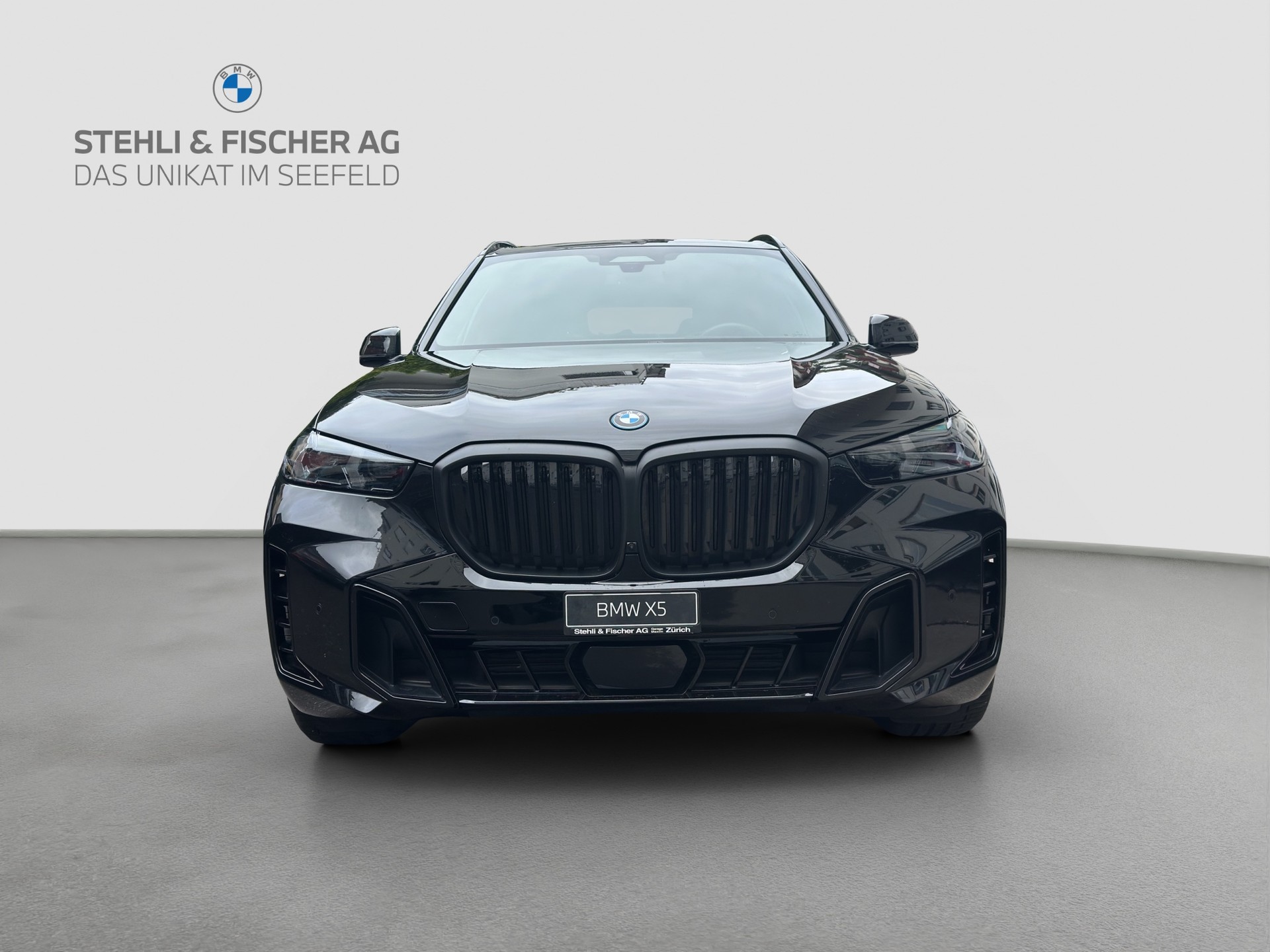 BMW X5 xDrive 50e M Sport Pro Steptronic-showroom-element-3