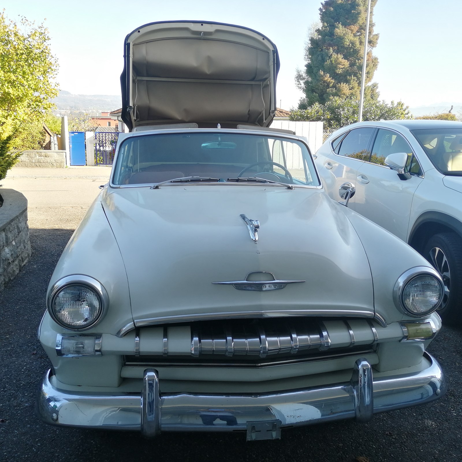 PLYMOUTH Plymouth P 25 X-image-2