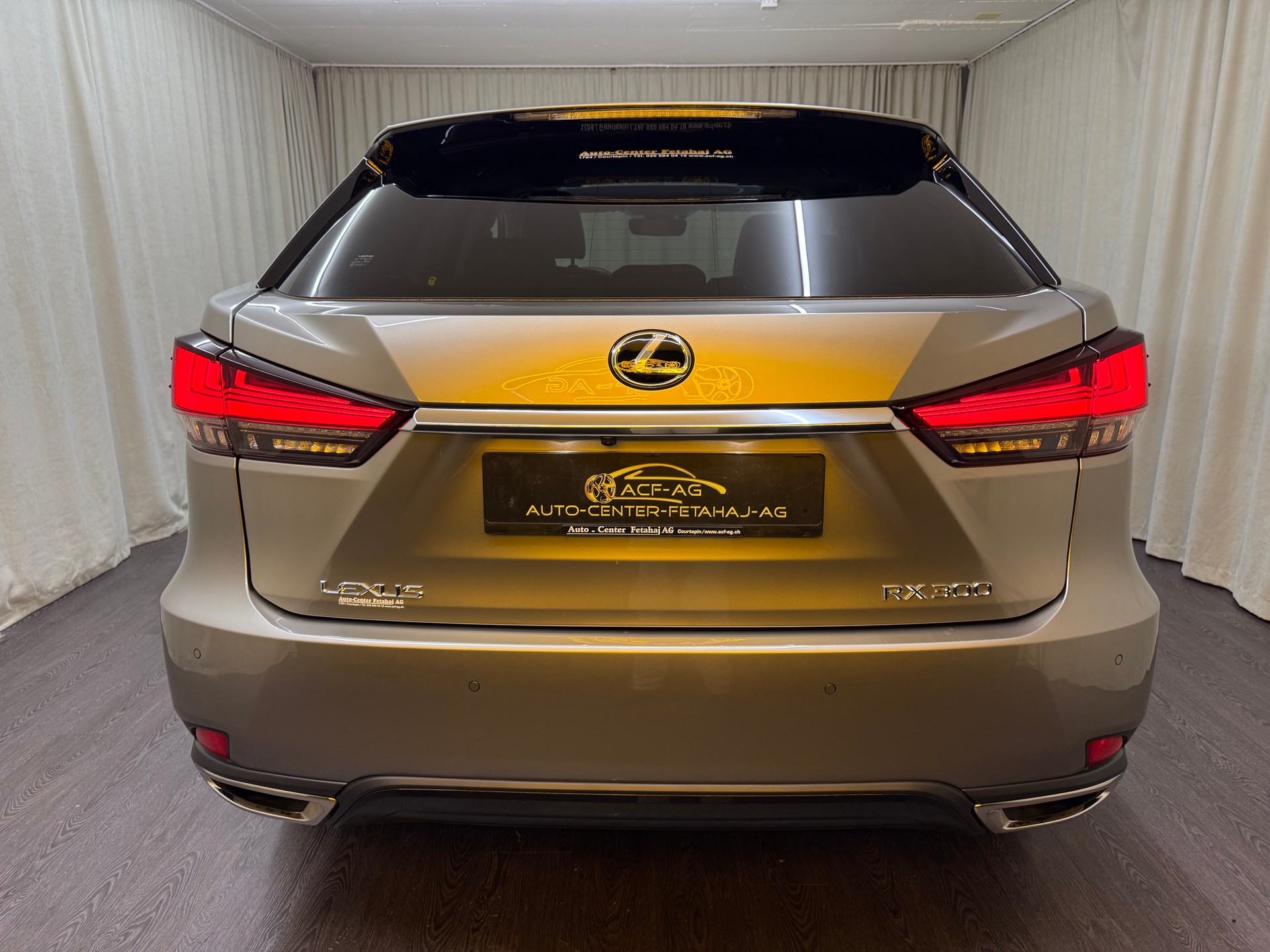 LEXUS RX 300 Special Edition AWD-image-4