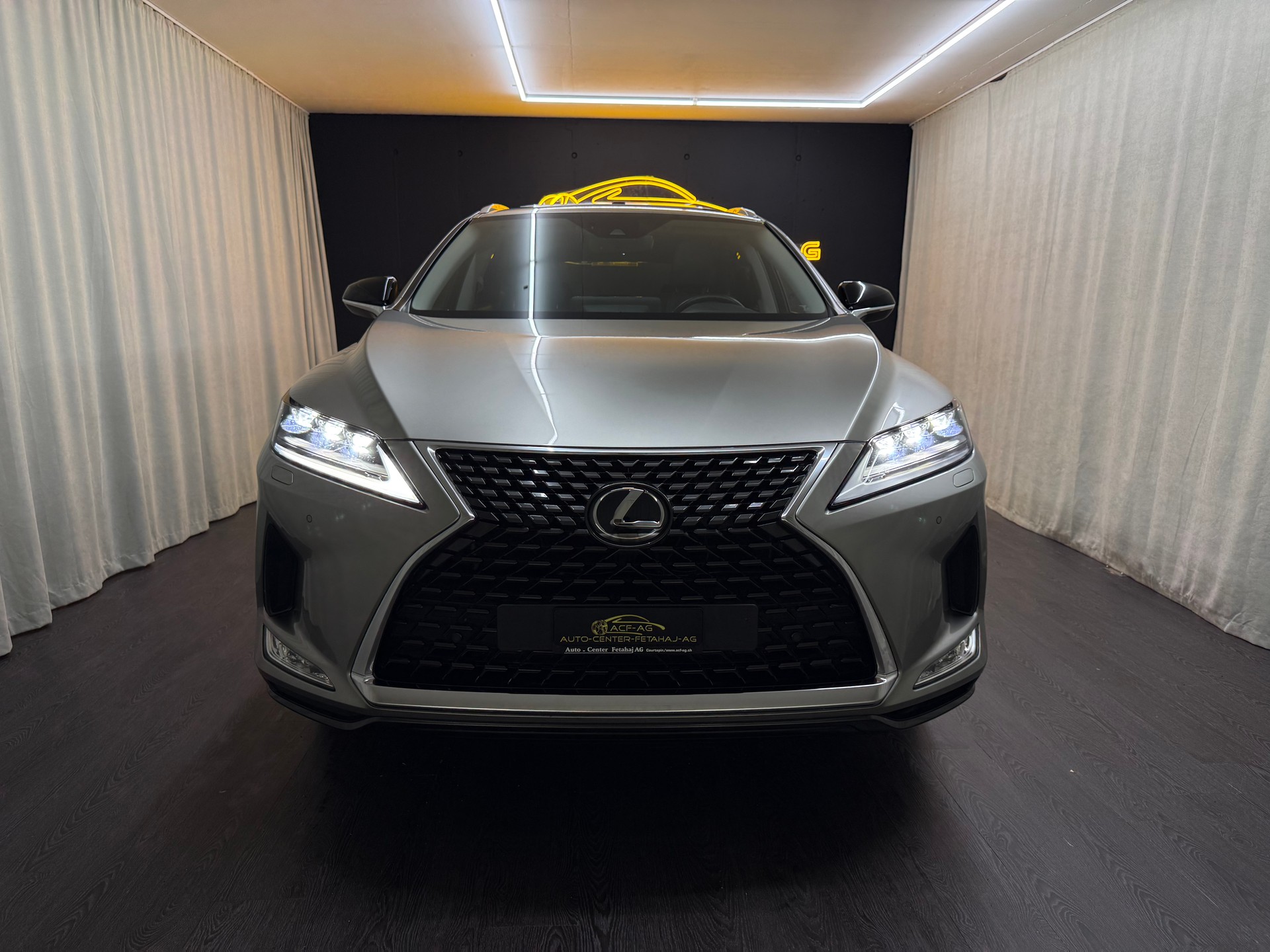 LEXUS RX 300 Special Edition AWD-image-1