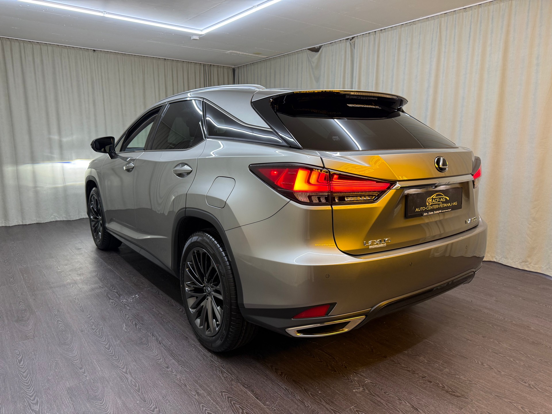 LEXUS RX 300 Special Edition AWD-image-5