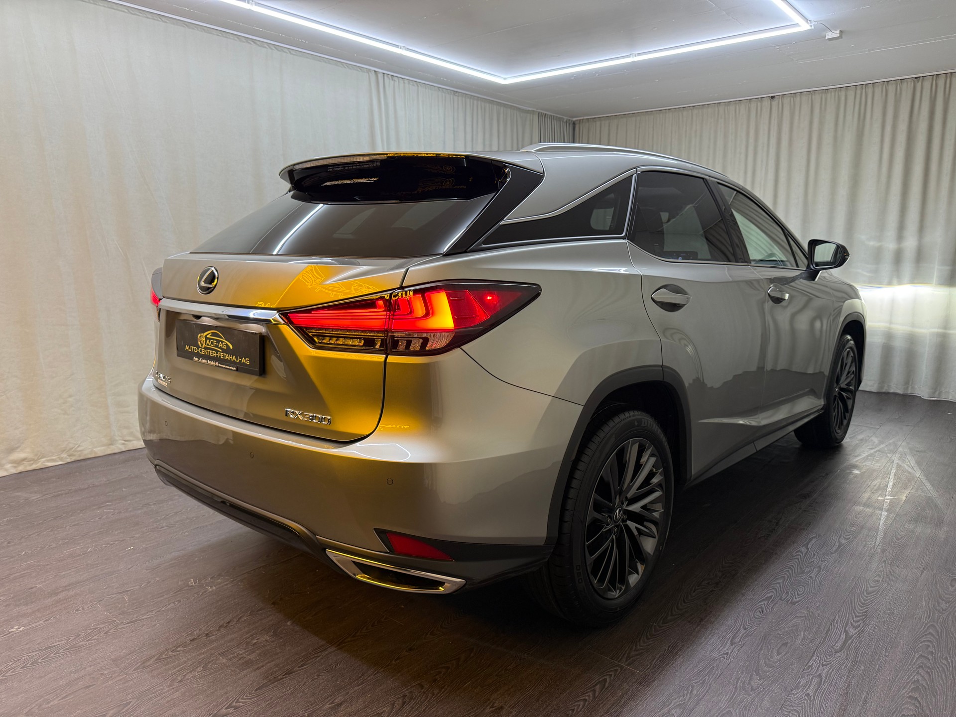 LEXUS RX 300 Special Edition AWD-image-3