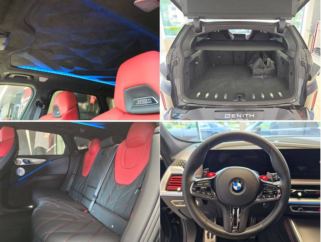 BMW XM xDrive PHEV Steptronic Red Label 1 of 500-image-15