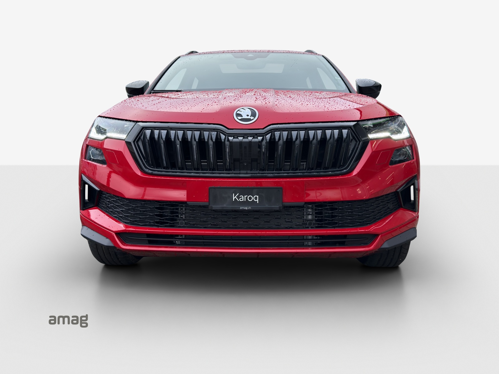 SKODA Karoq 2.0 TSI SportLine 4x4 DSG-image-6