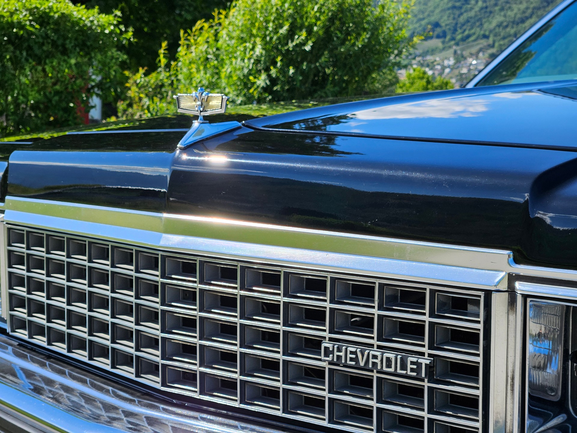 CHEVROLET Leichenwagen-image-16