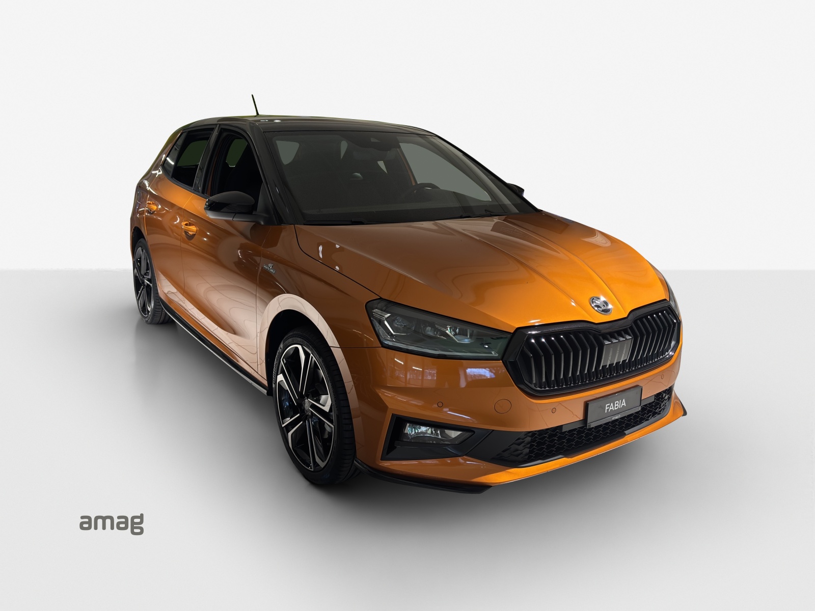 SKODA Fabia 1.0 TSI Monte Carlo DSG-image-4