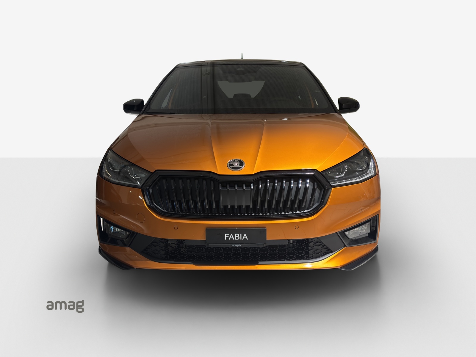 SKODA Fabia 1.0 TSI Monte Carlo DSG-image-5
