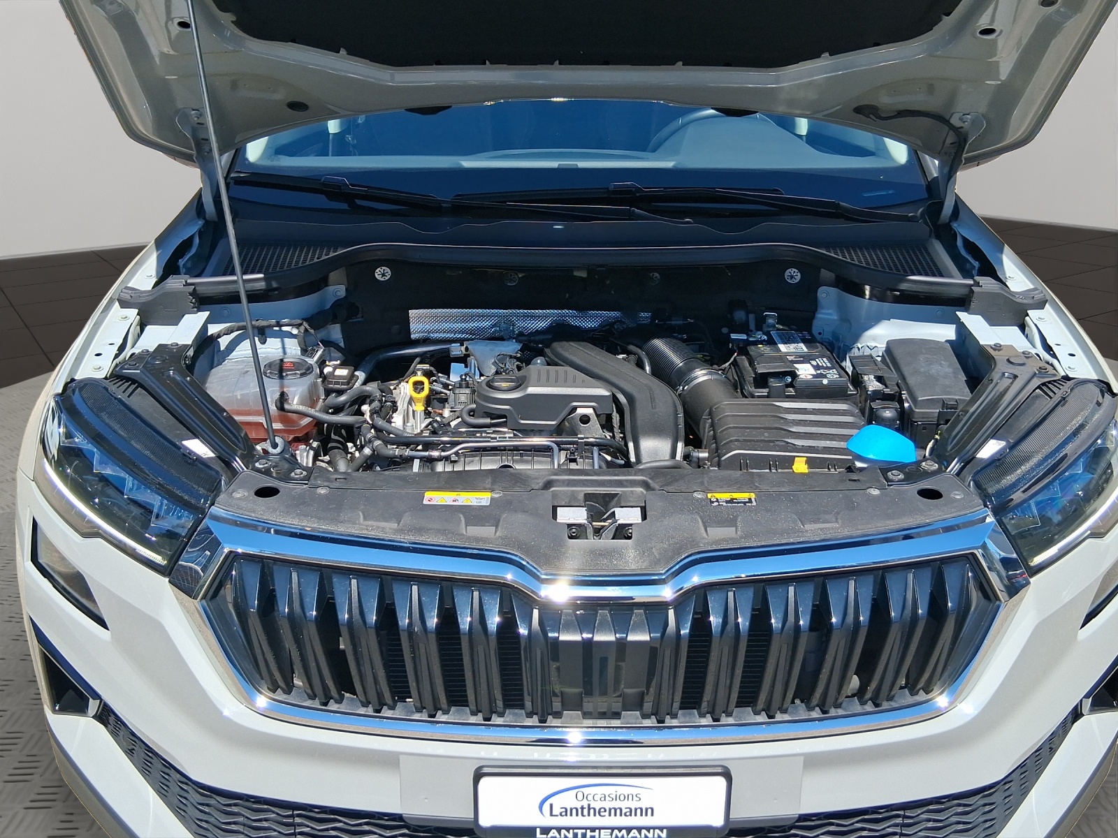 SKODA Karoq 1.5 TSI Ambition-image-19