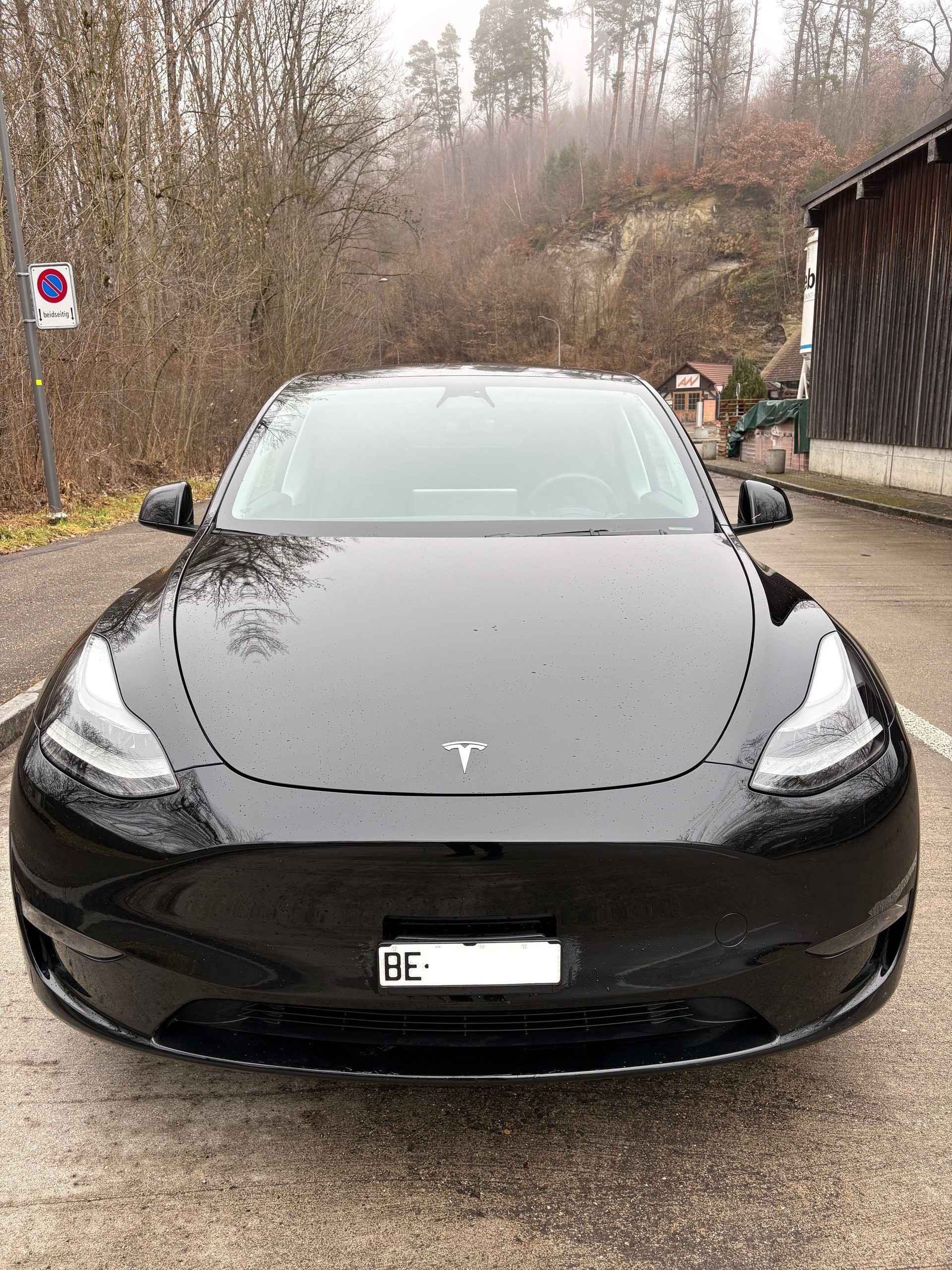 TESLA Model Y Performance-image-4