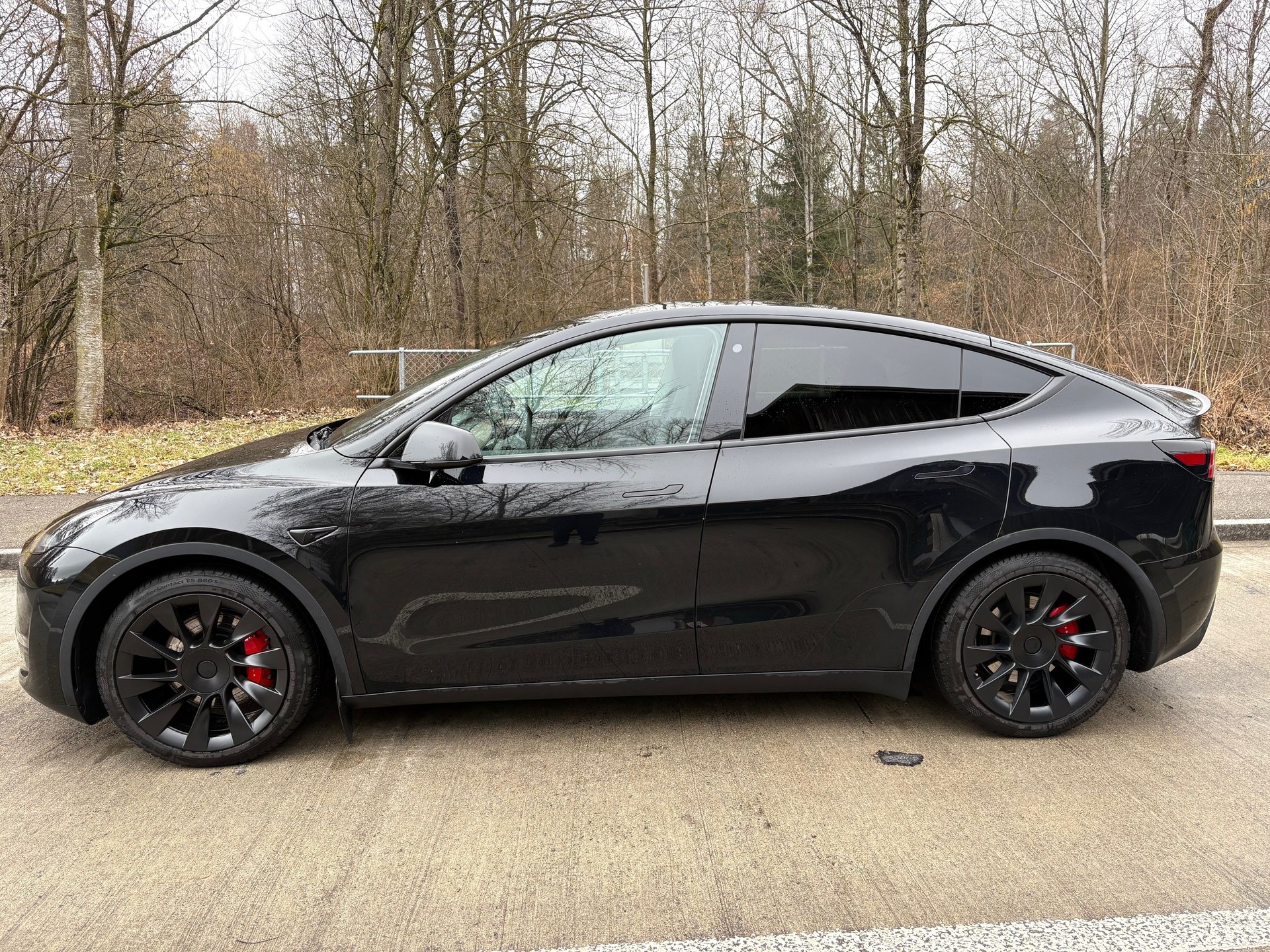 TESLA Model Y Performance-image-1