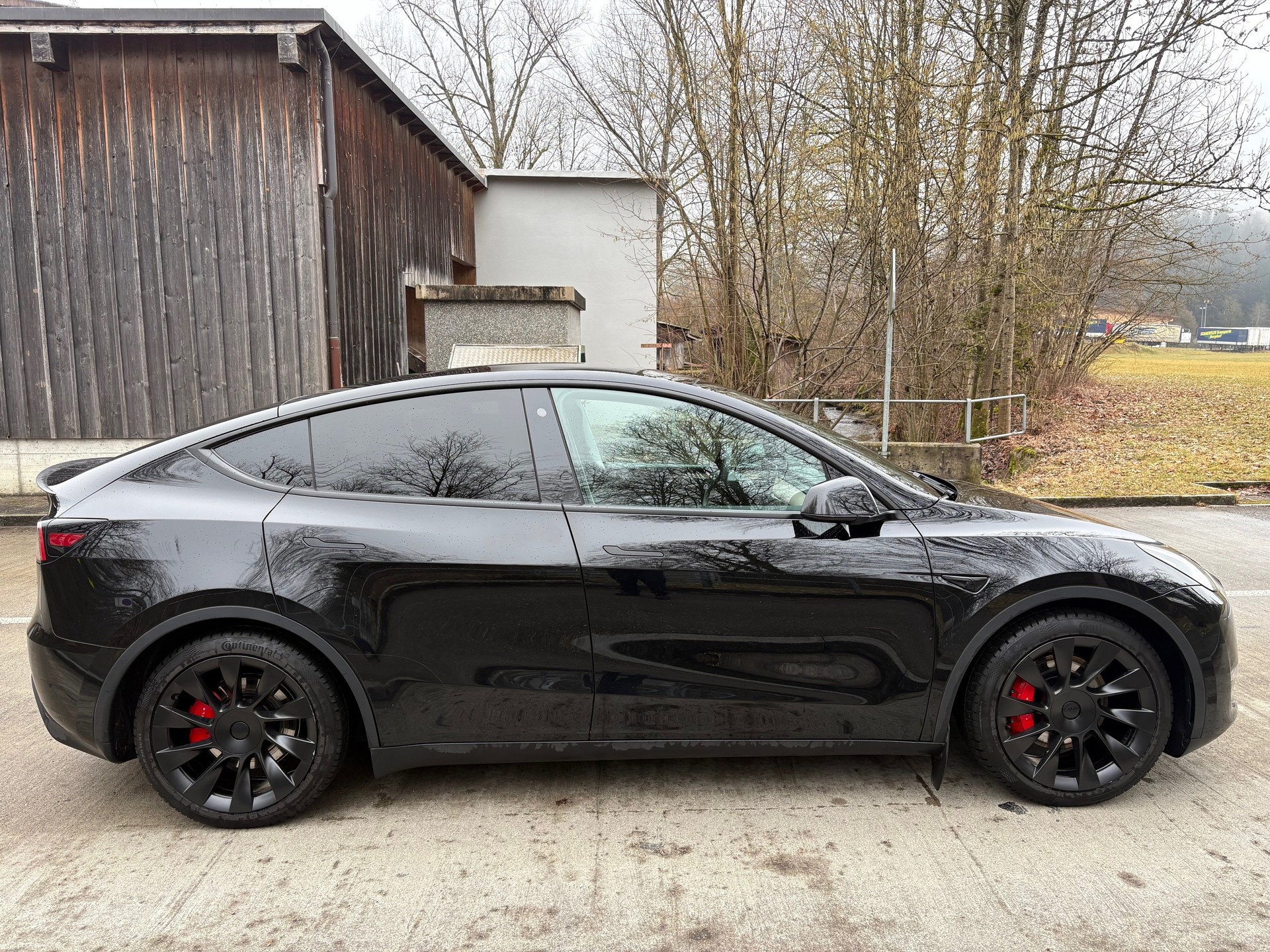 TESLA Model Y Performance-image-0