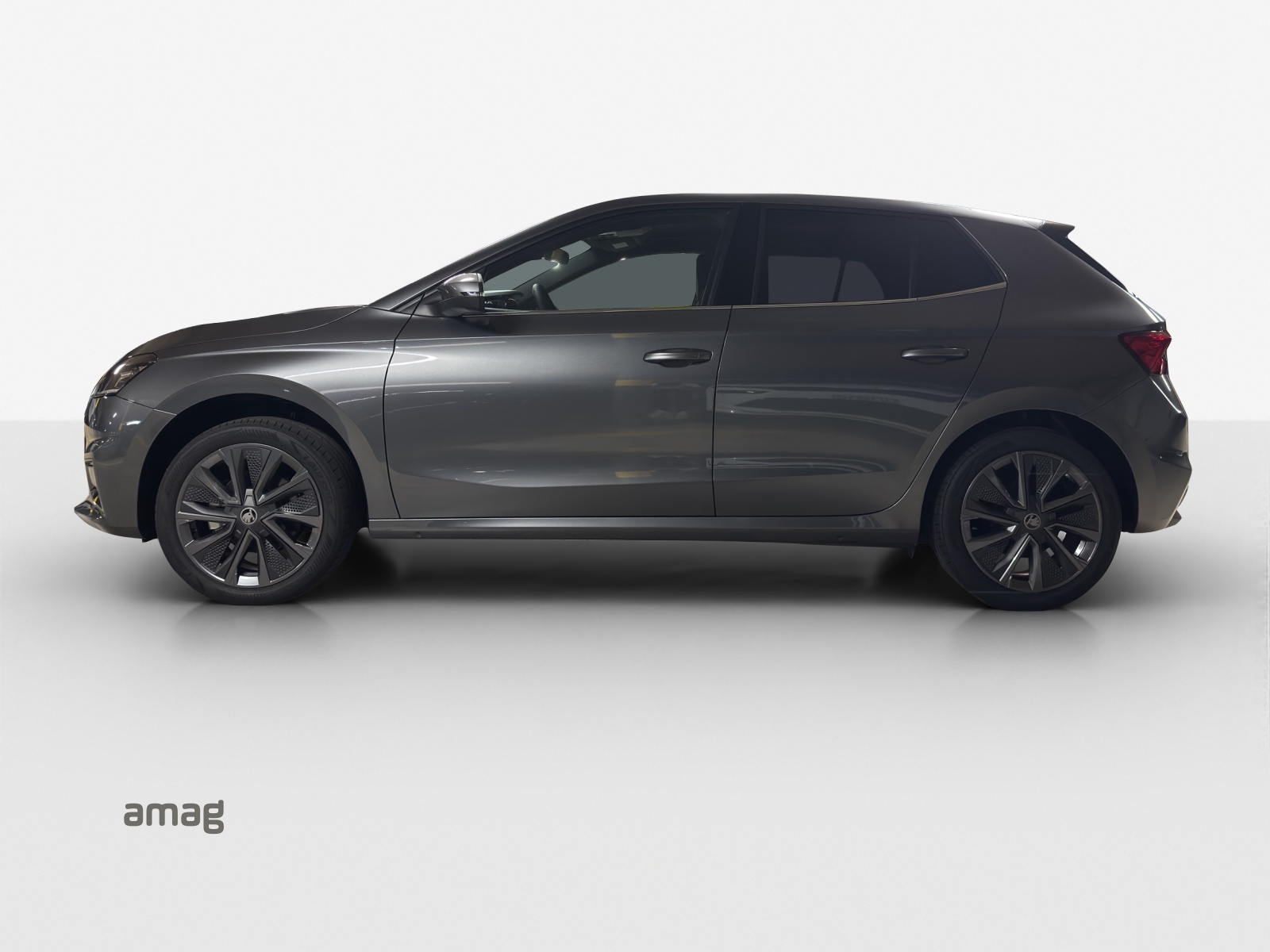 SKODA Fabia 1.0 TSI Dynamic DSG-image-2
