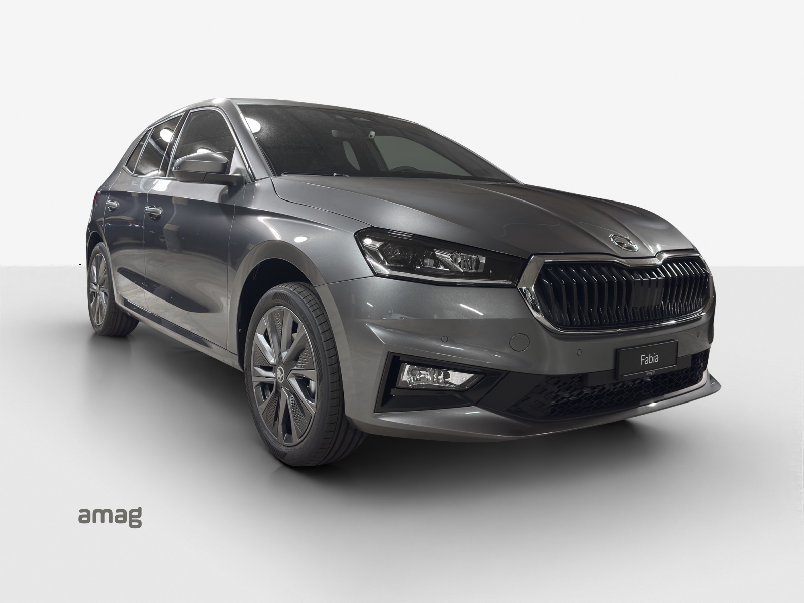 SKODA Fabia 1.0 TSI Dynamic DSG-image-6