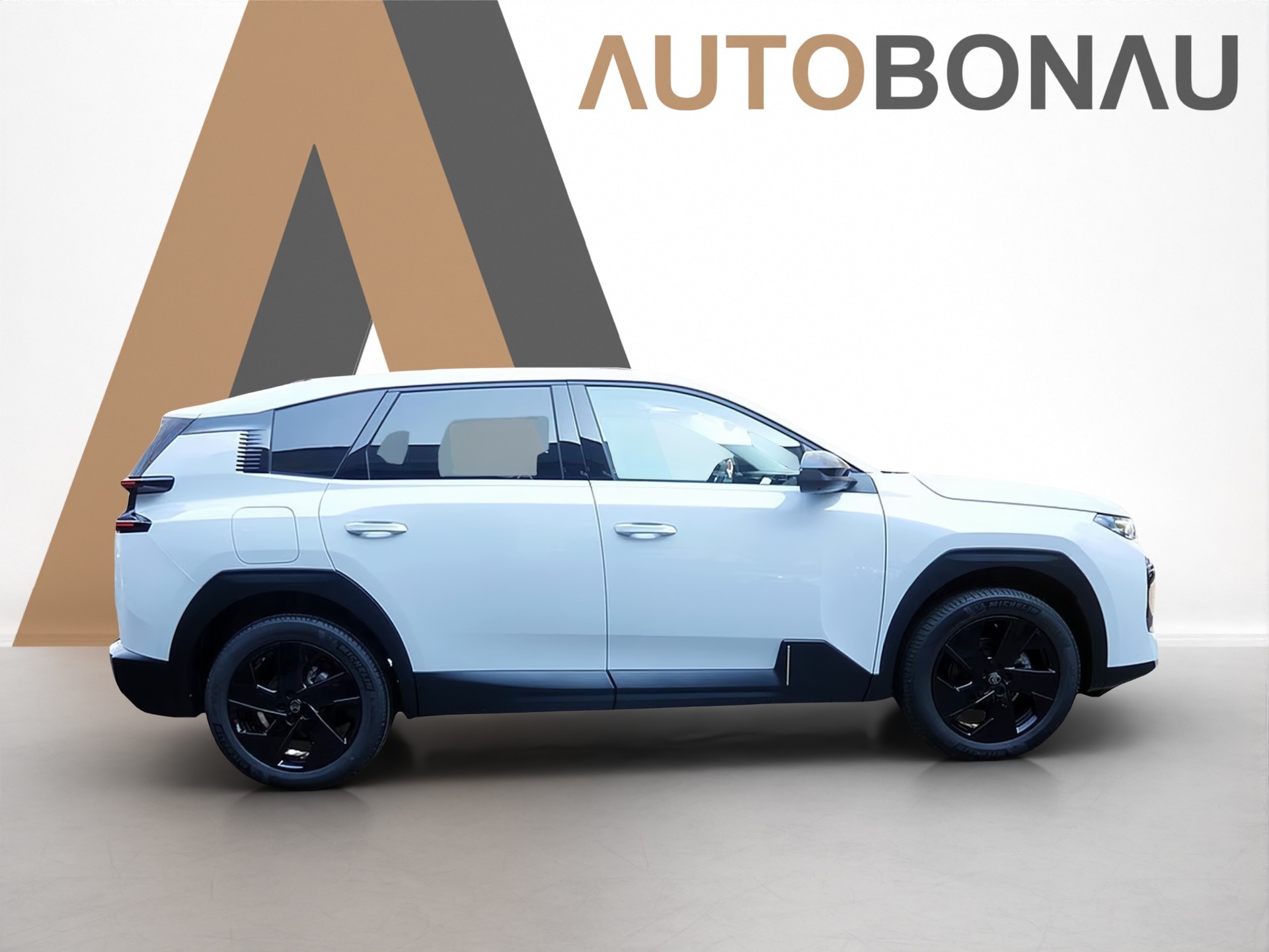 CITROEN C5 Aircross 1.2 Hybrid Max-image-3