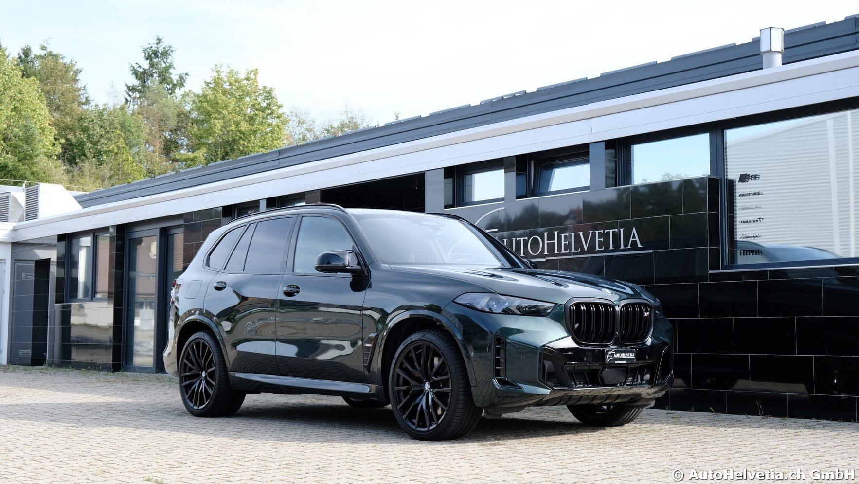BMW X5 xDrive 48V M60i M Sport Pro Steptronic-image-0