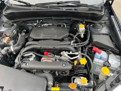 SUBARU Forester 2.0XS Limited Automatic-image-11