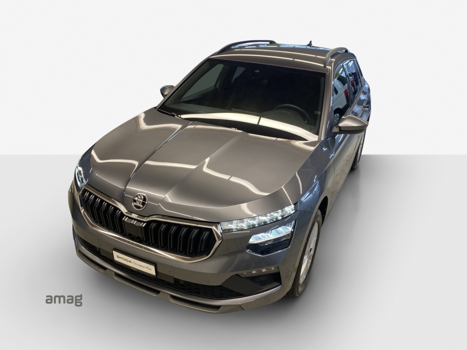 SKODA Kamiq 1.0 TSI Selection DSG-image-15