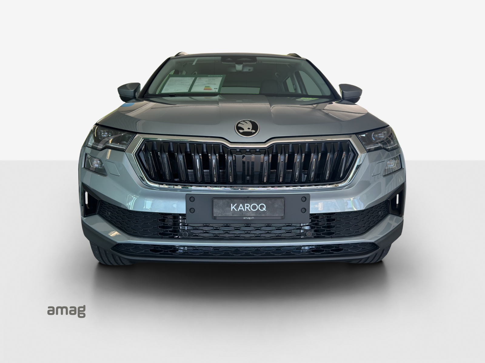 SKODA Karoq 2.0 TDI CR Dynamic 4x4 DSG-image-6