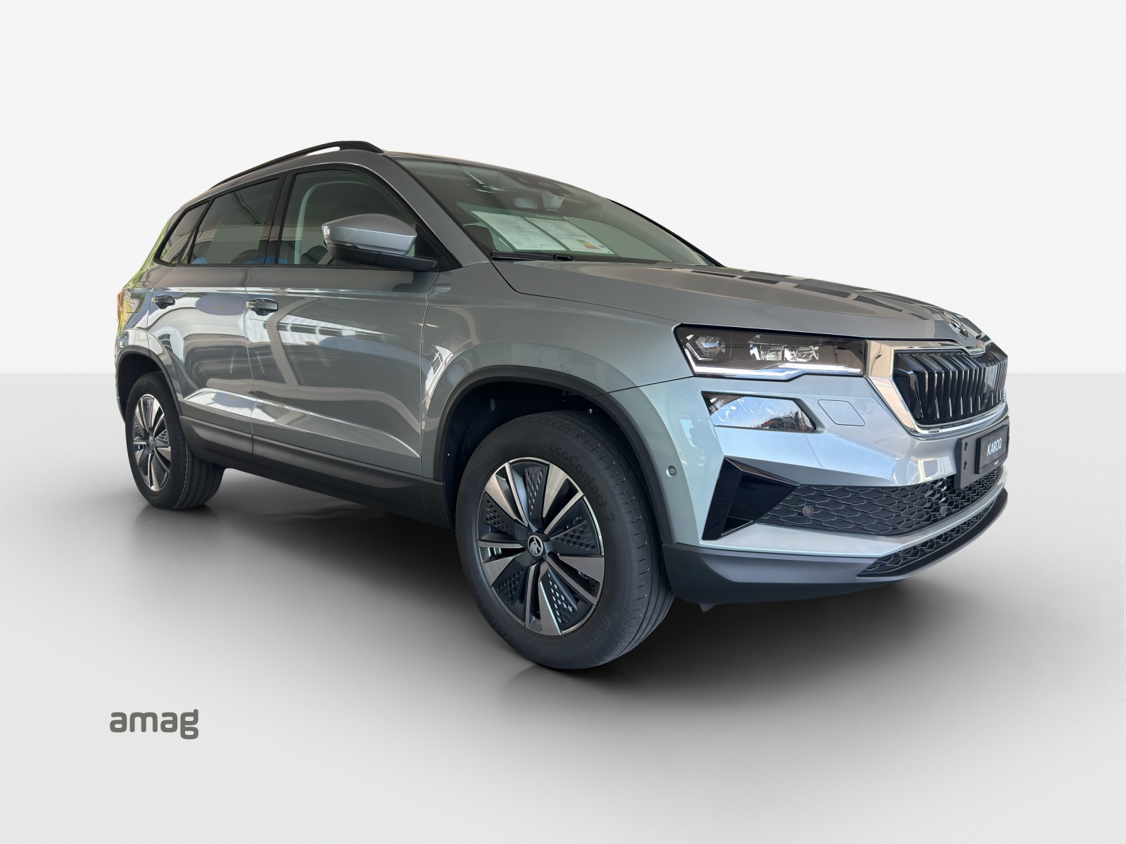 SKODA Karoq 2.0 TDI CR Dynamic 4x4 DSG-image-5