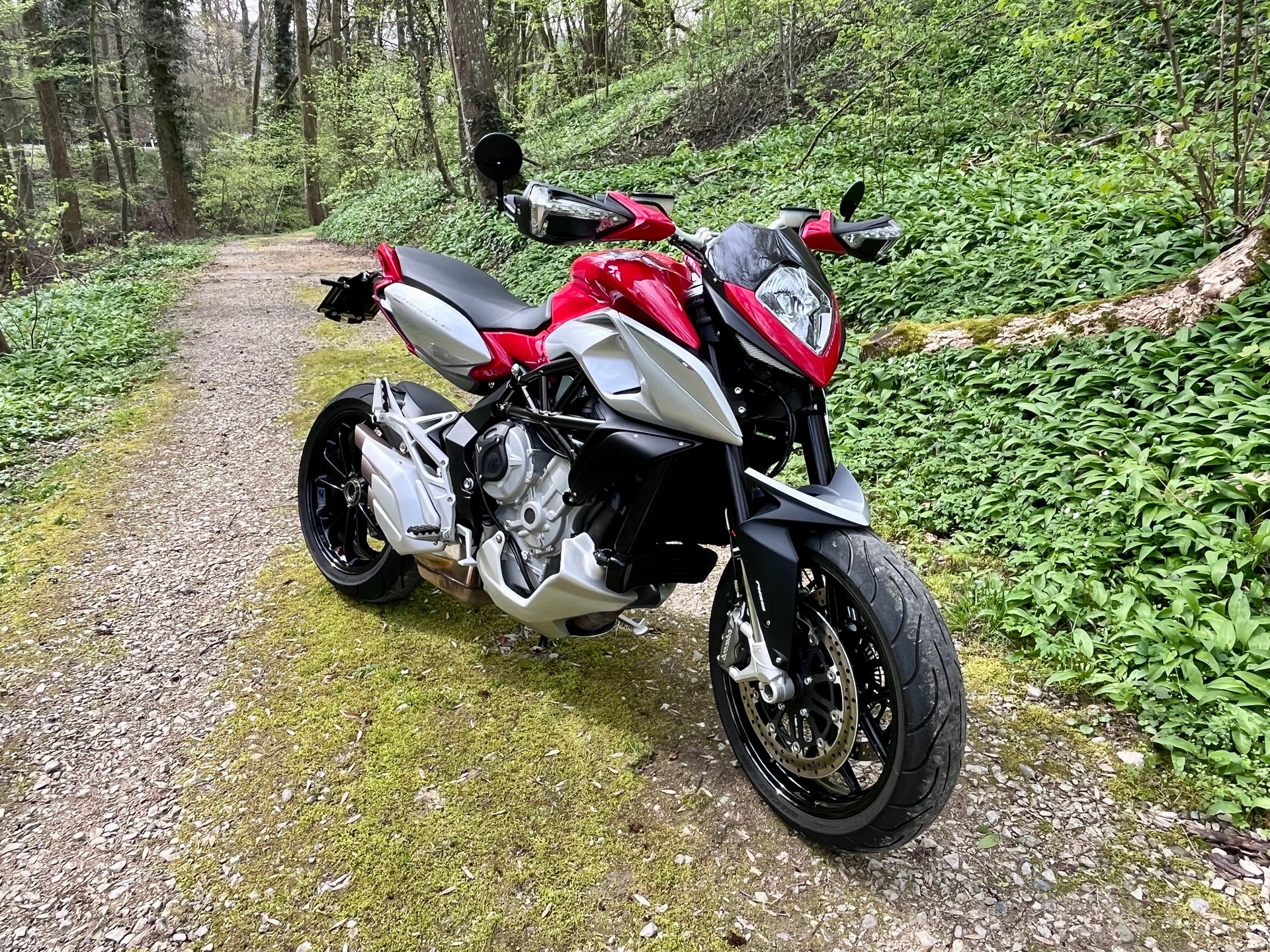 MV AGUSTA Stradale 800 EAS ABS-image-5