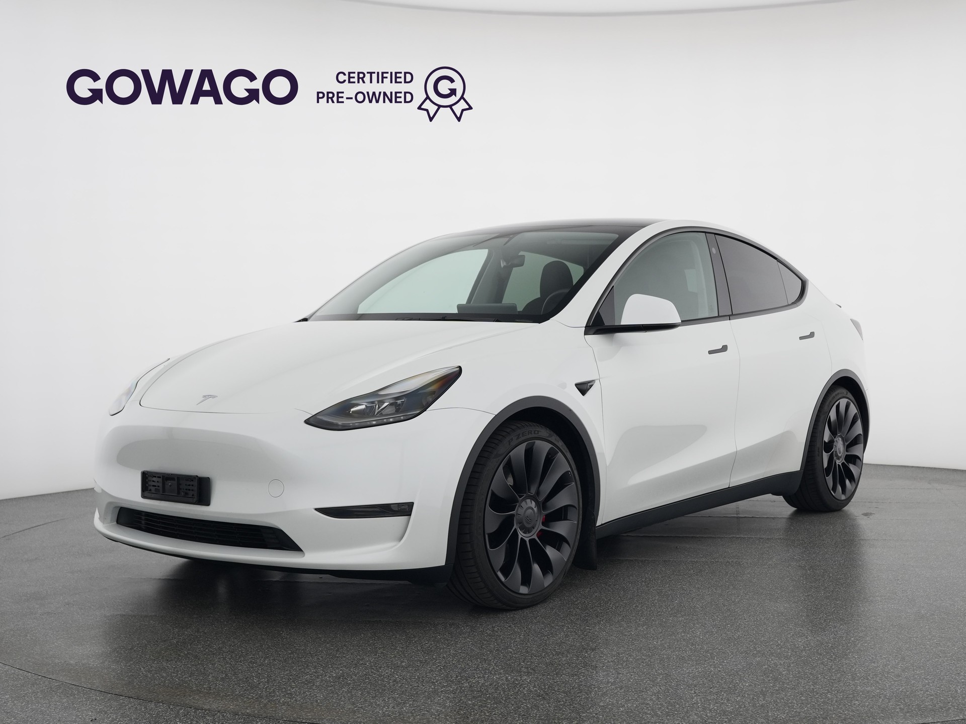 TESLA Model Y Performance-image-0