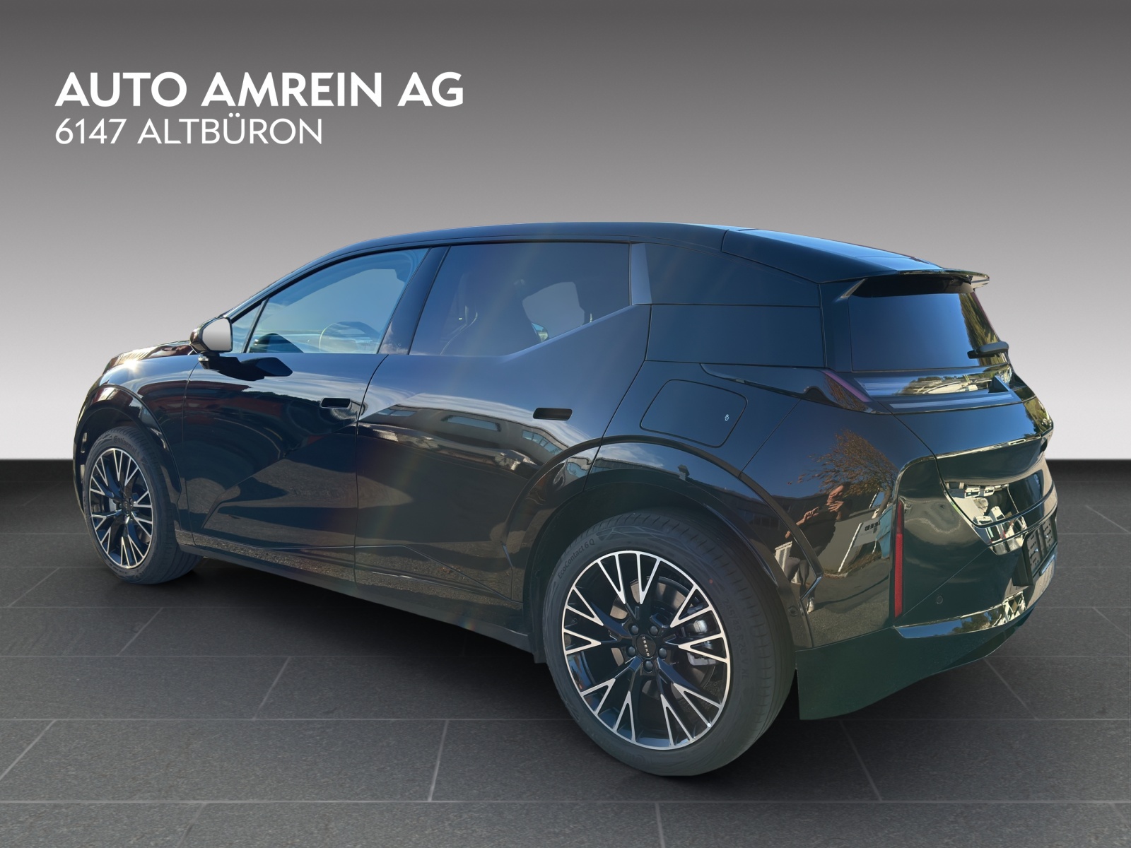 ZEEKR X Privilege AWD-image-6