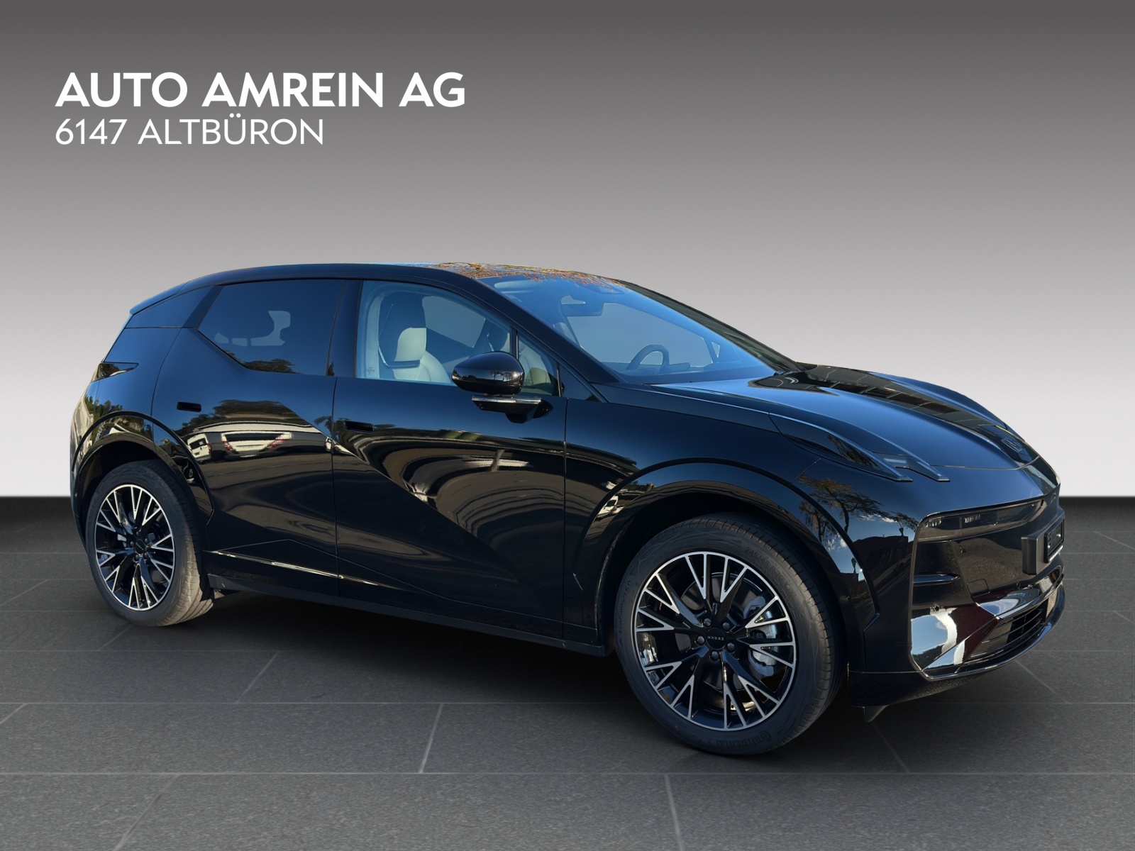 ZEEKR X Privilege AWD-showroom-element-1