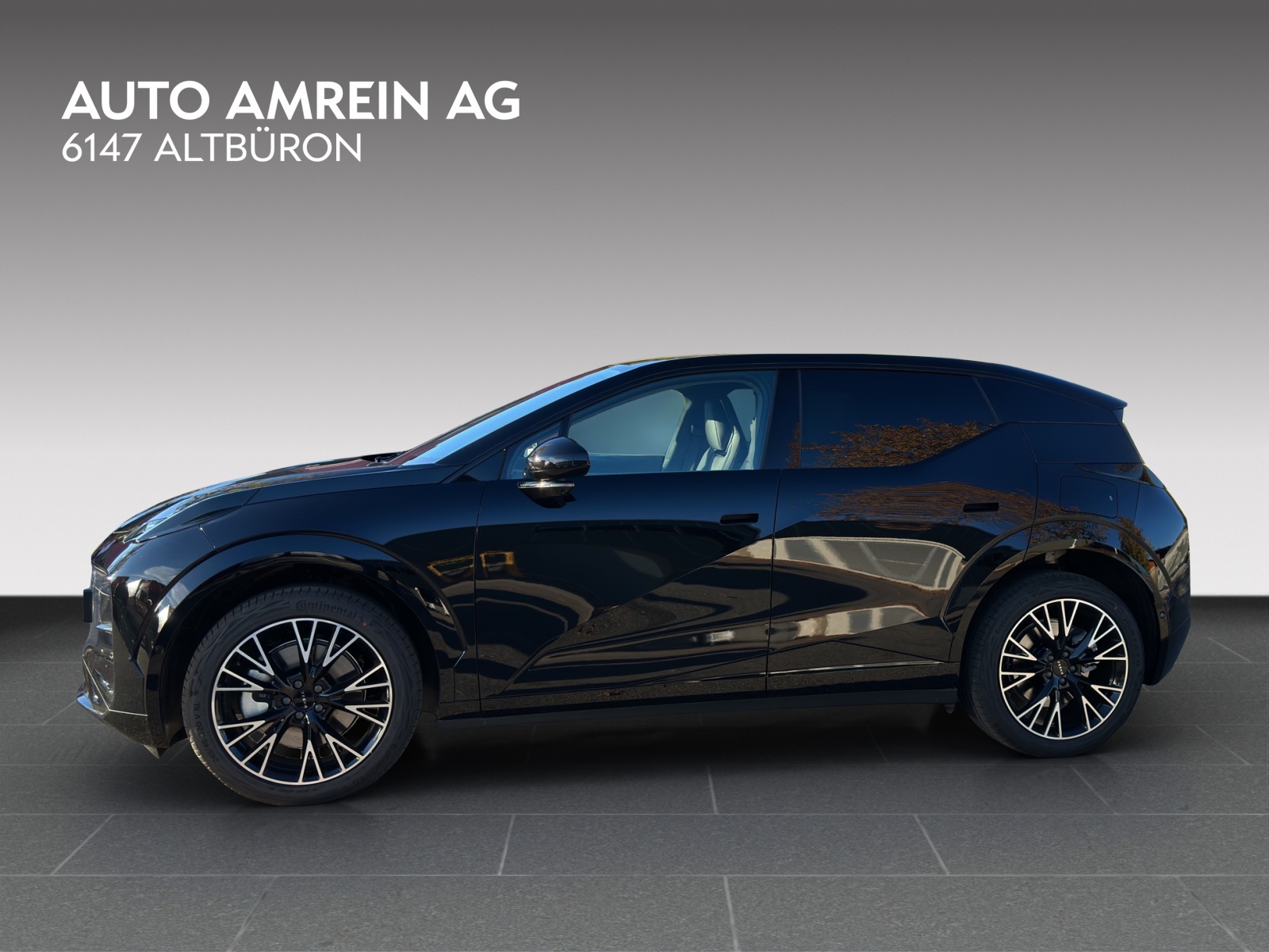 ZEEKR X Privilege AWD-image-4