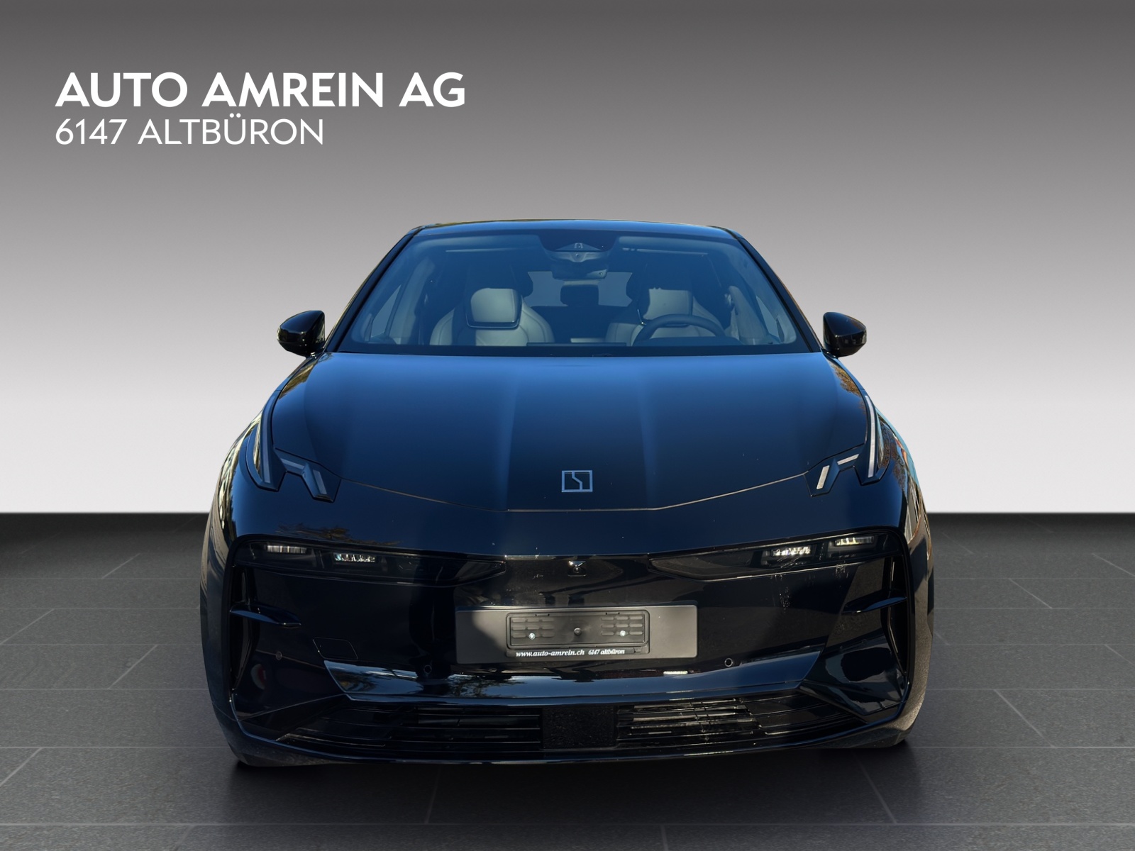 ZEEKR X Privilege AWD-showroom-element-2
