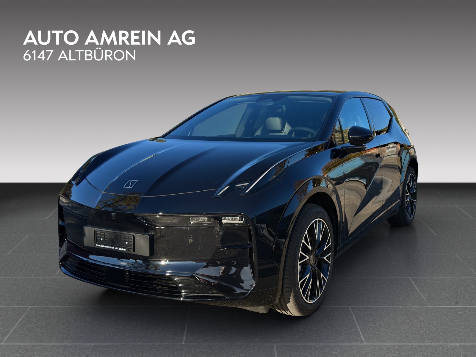 ZEEKR X Privilege AWD-showroom-element-3