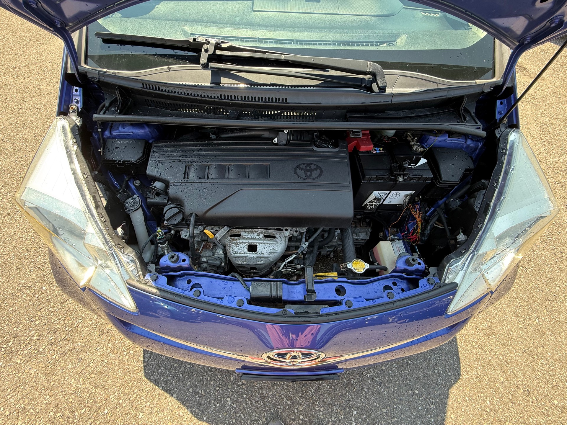 TOYOTA Verso-S 1.33 Linea Luna-image-15