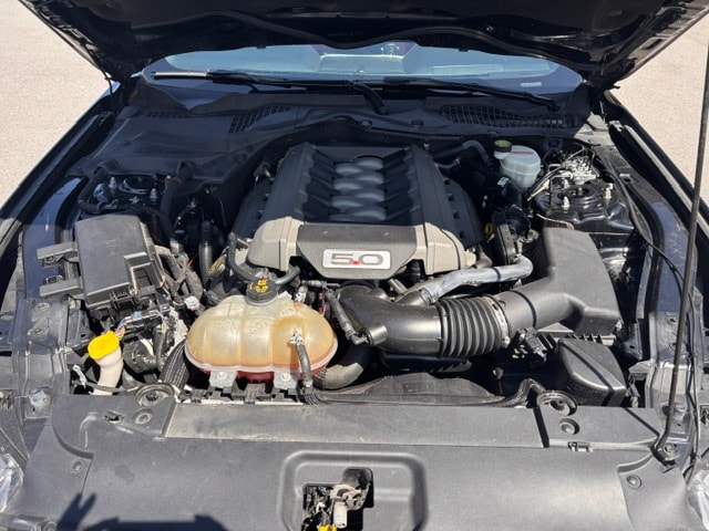 FORD Mustang Fastback 5.0 V8 GT Automat-image-16