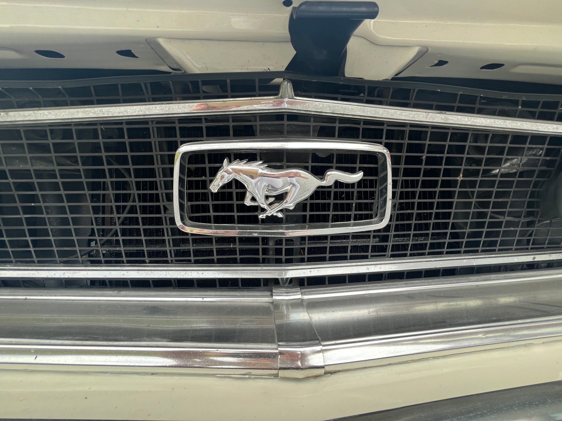 FORD Mustang GT 390 Convertible-image-31