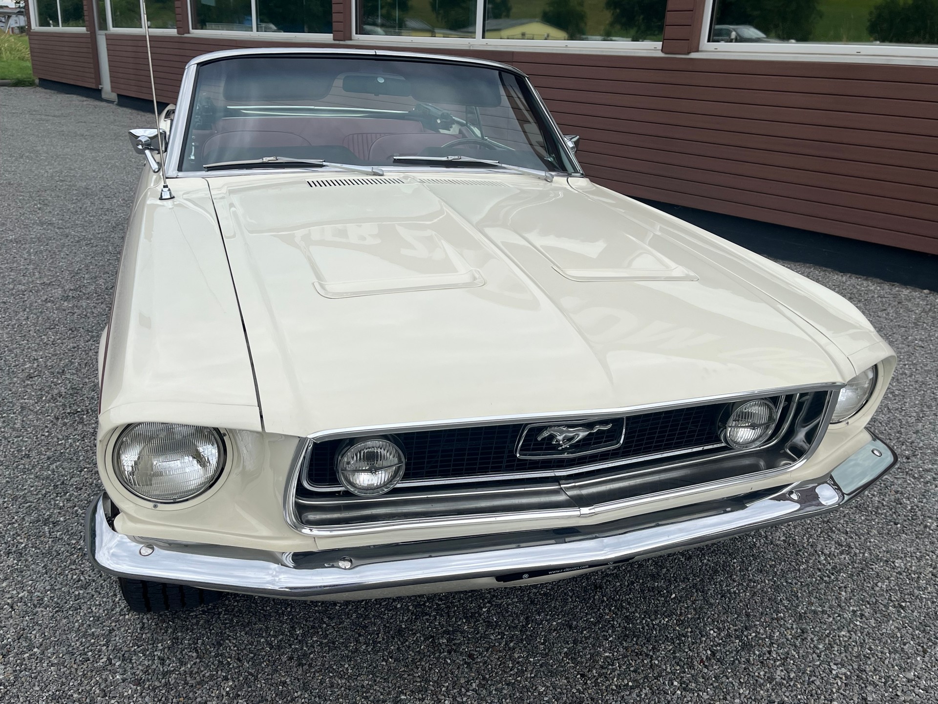 FORD Mustang GT 390 Convertible-image-7