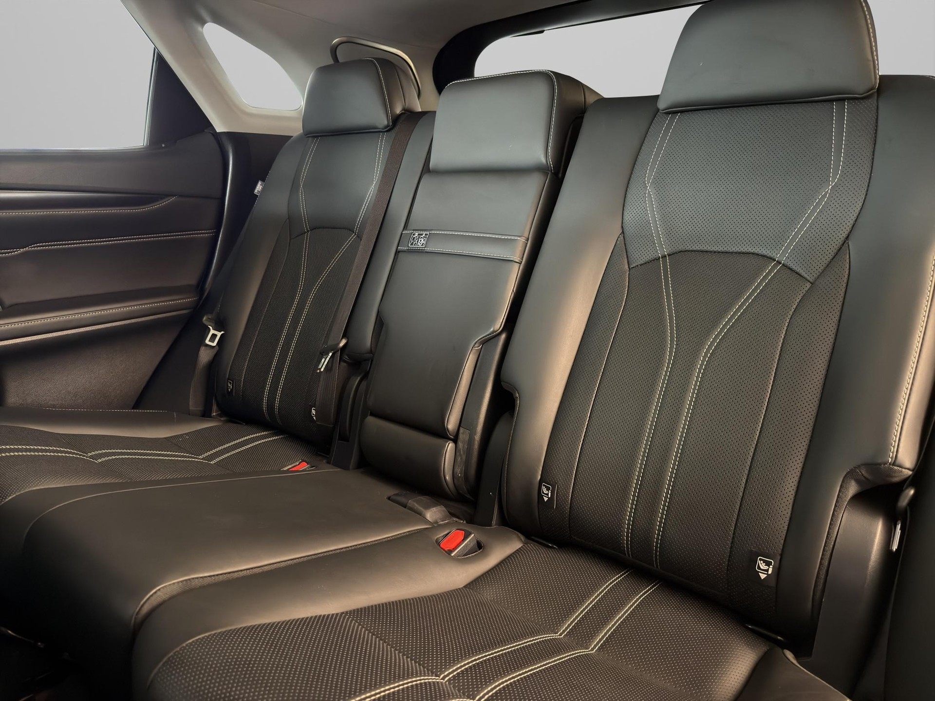 LEXUS RX 450h Excellence-image-11