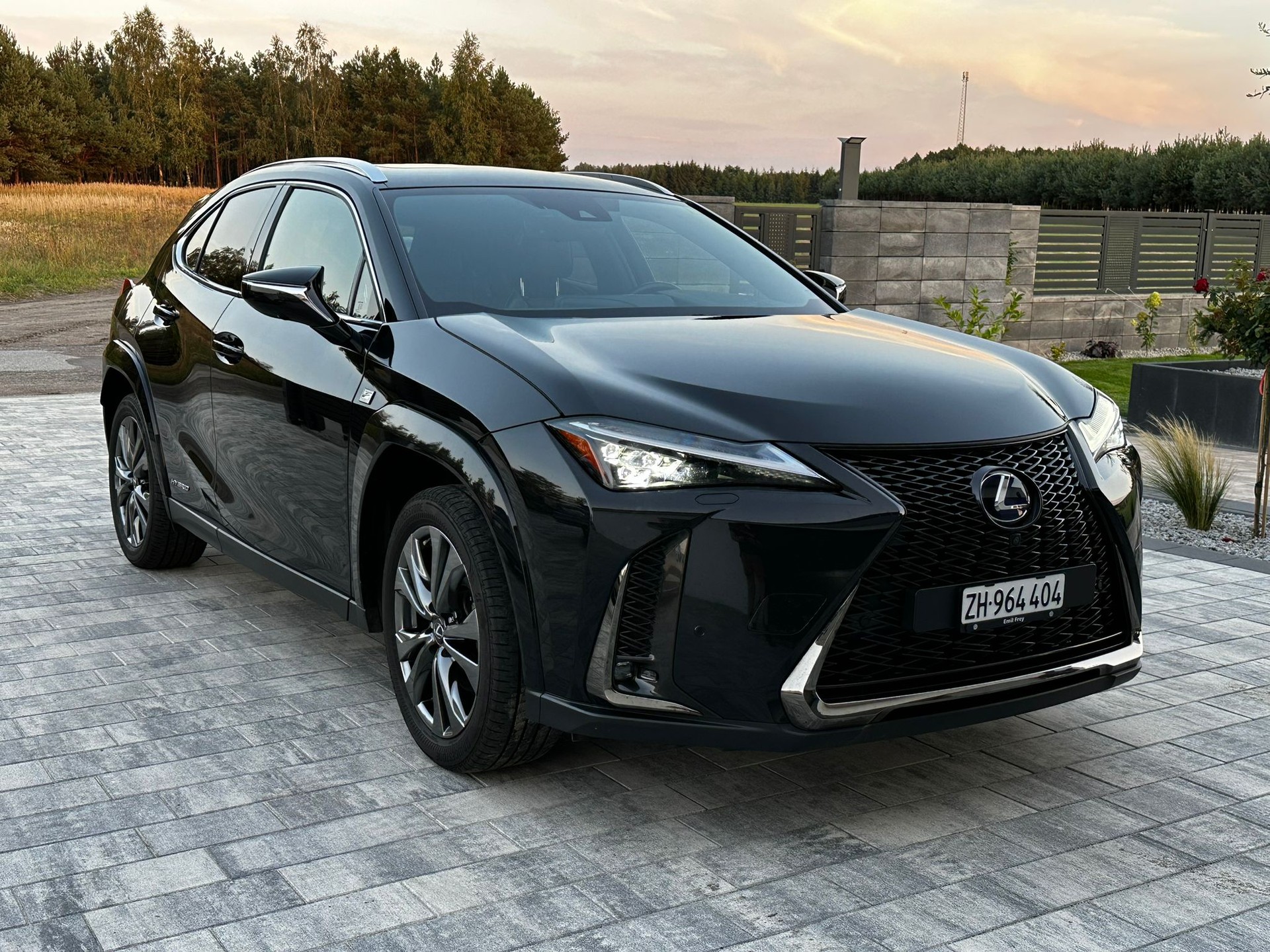 LEXUS 250h F-Sport-image-0