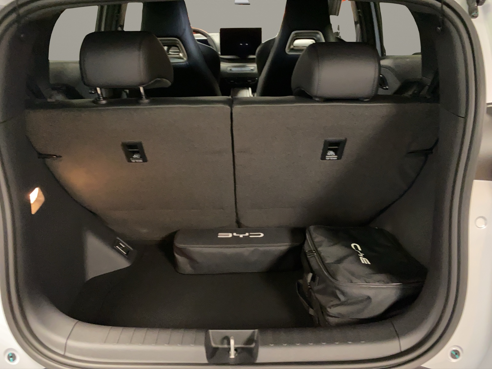 BYD Dolphin Surf Comfort-image-5