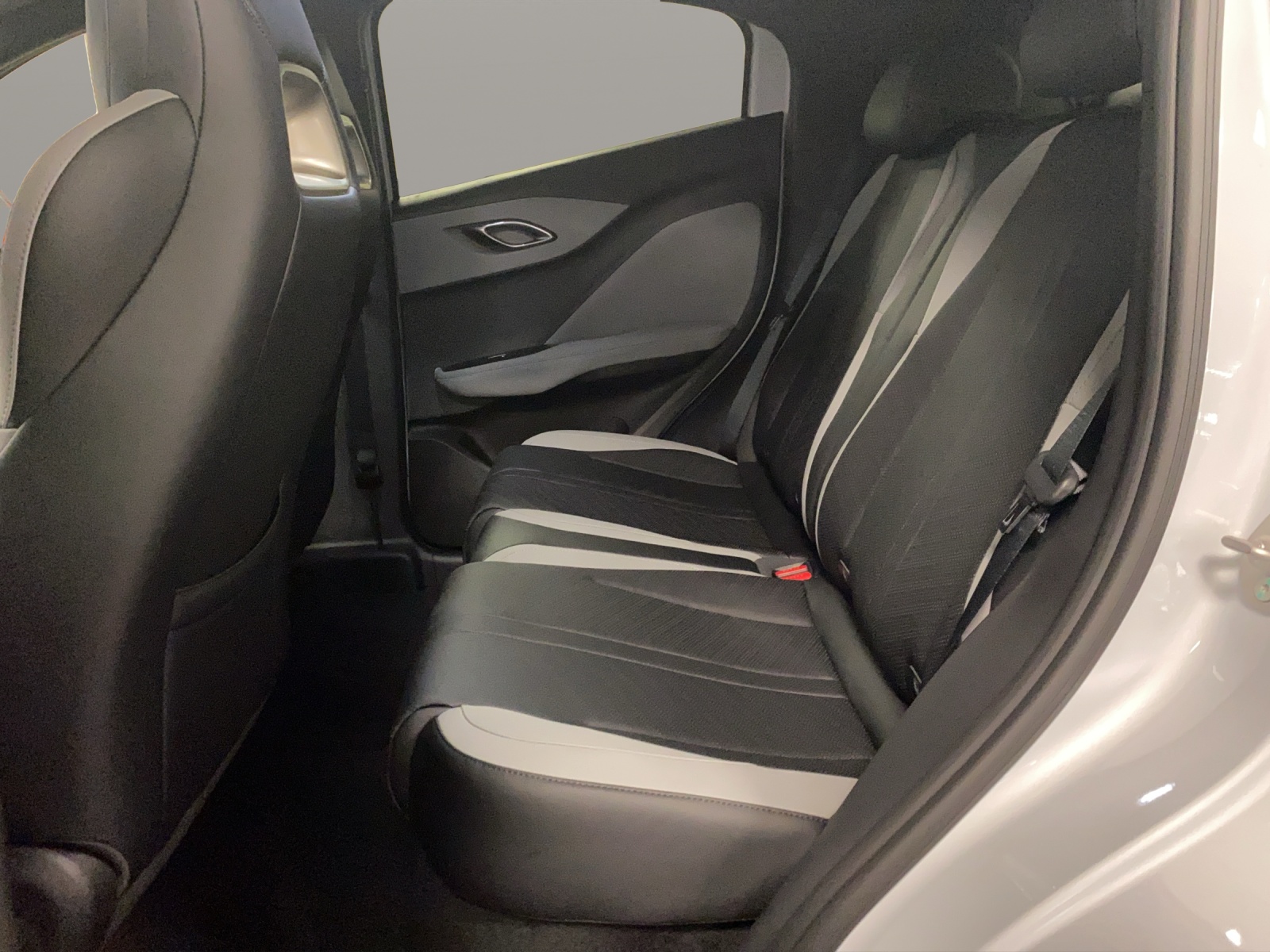 BYD Dolphin Surf Comfort-image-13