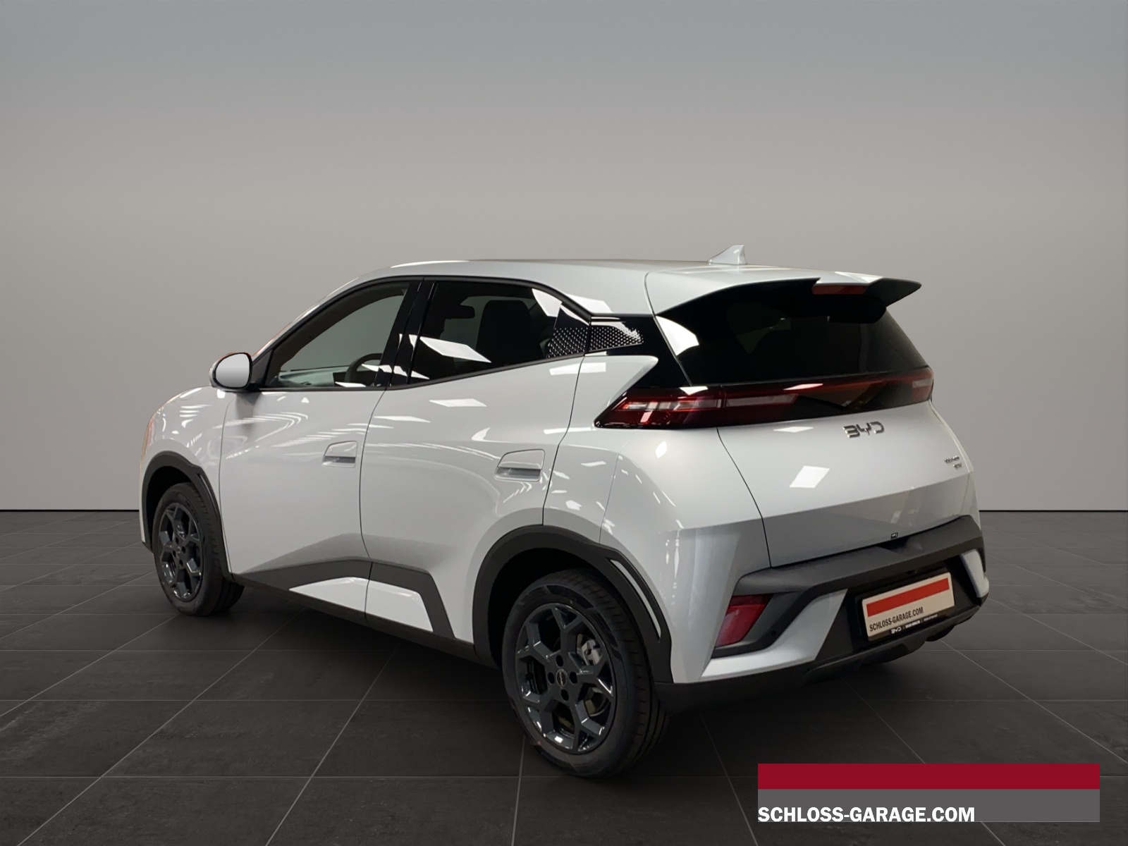BYD Dolphin Surf Comfort-image-3