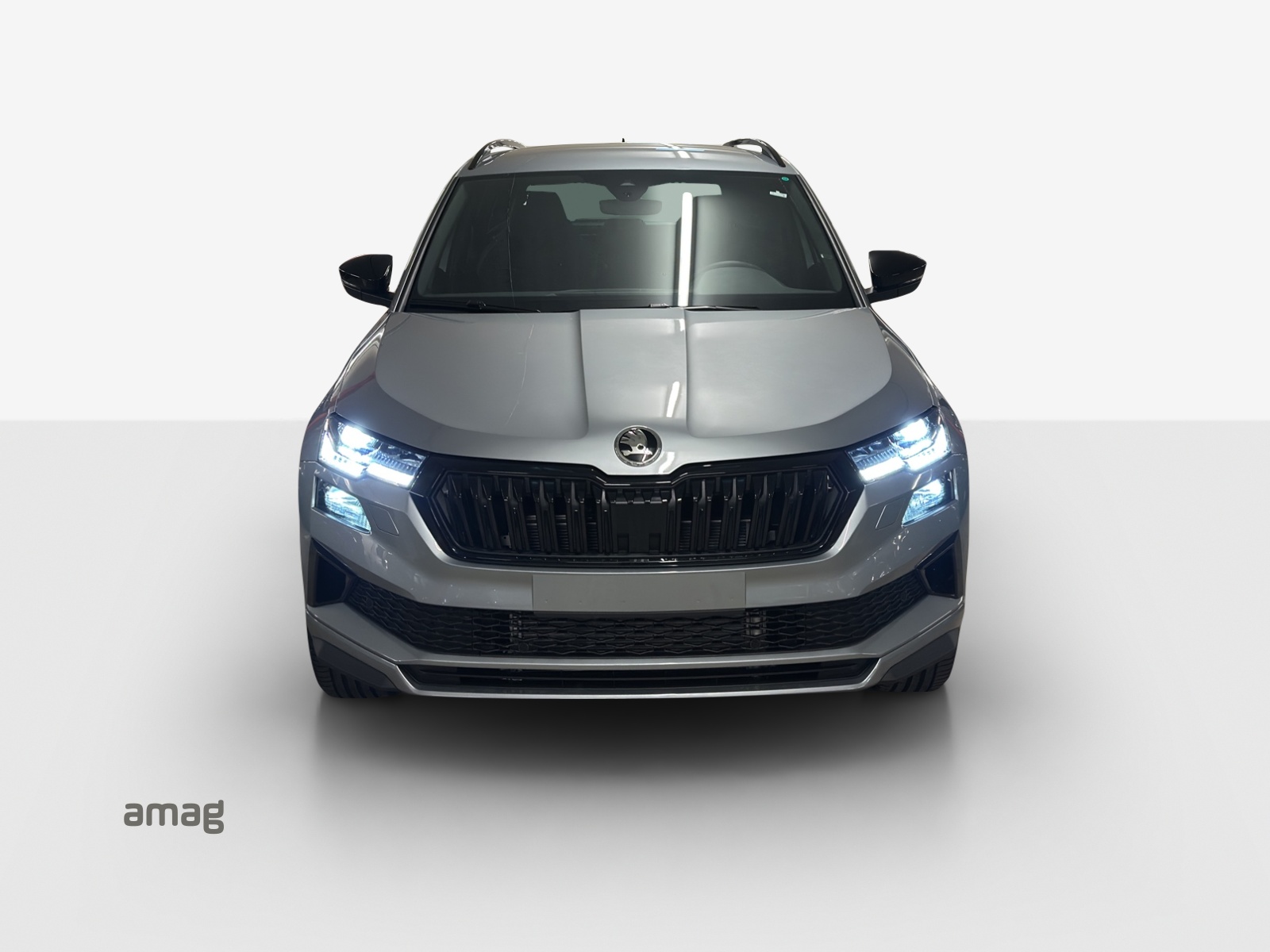 SKODA Karoq 2.0 TSI SportLine 4x4 DSG-image-6