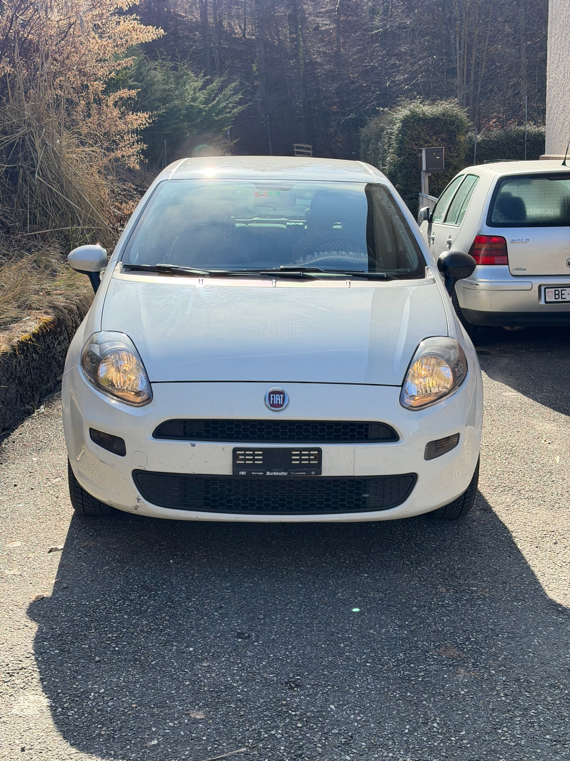 FIAT Punto 1.4 Easy Dualogic-image-7