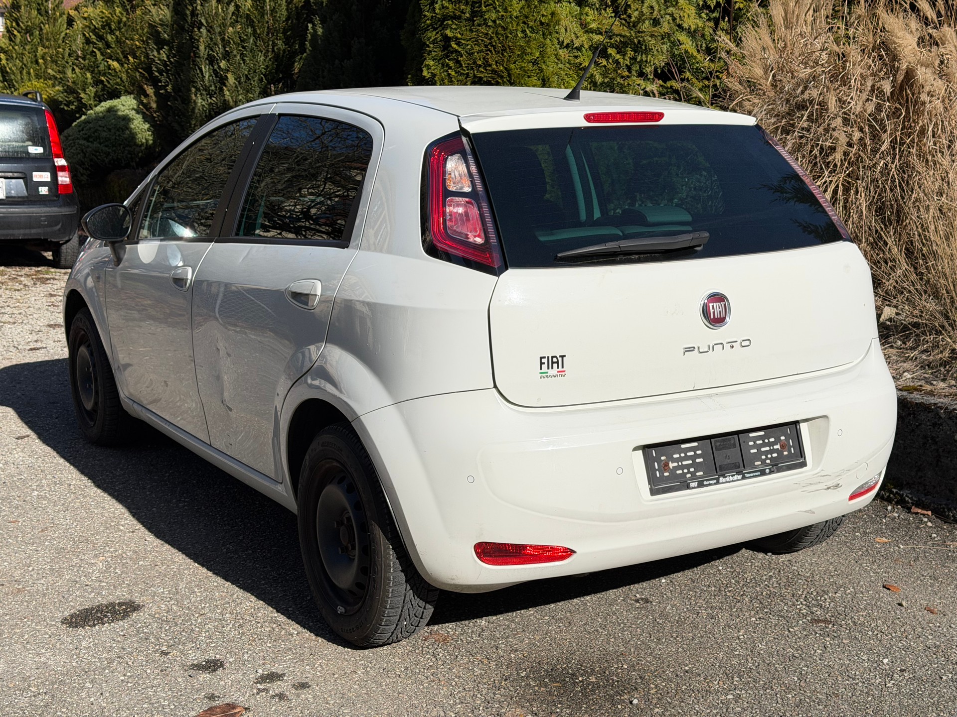 FIAT Punto 1.4 Easy Dualogic-image-4